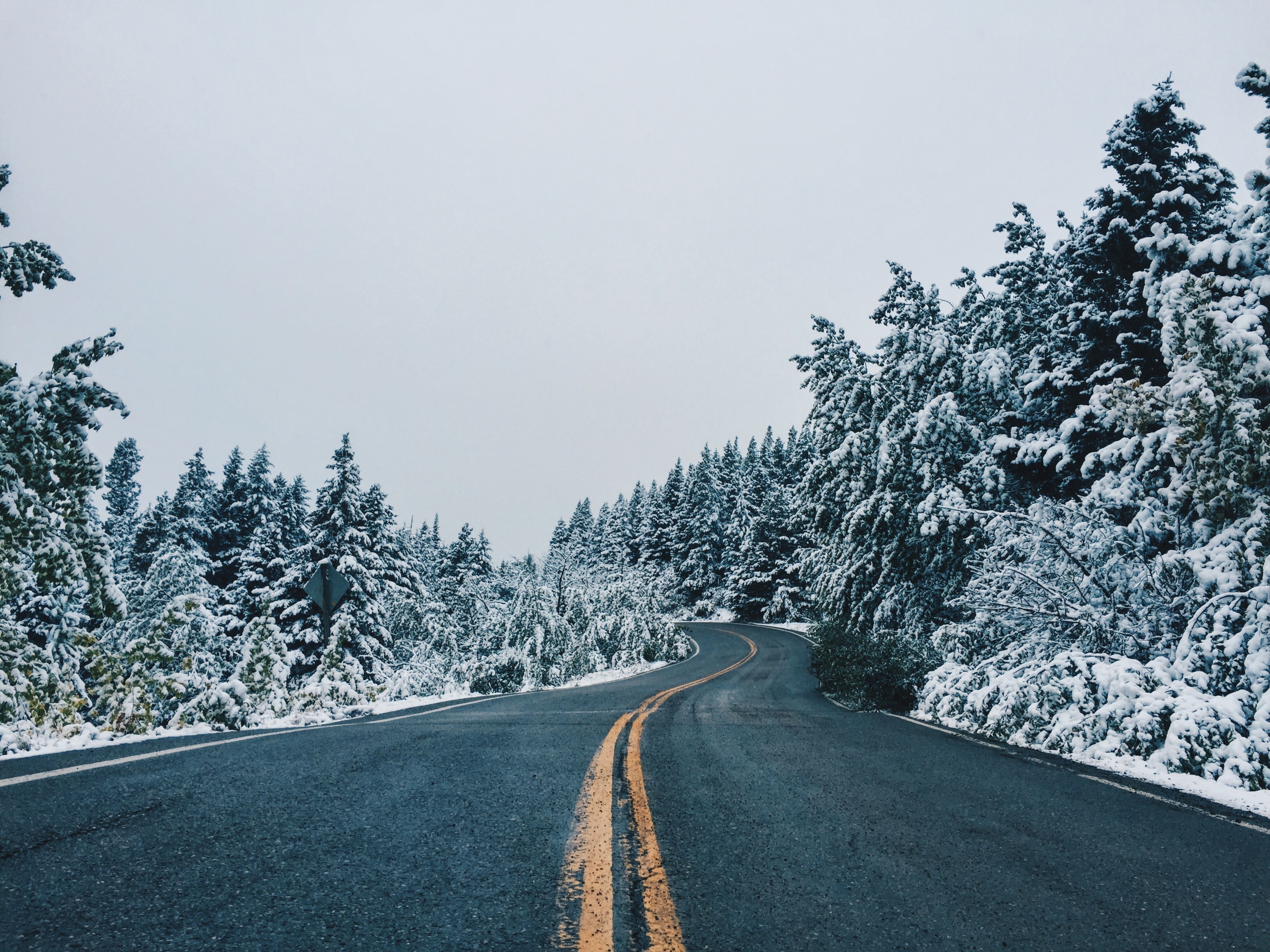 nature, trees, snow, road, snow covered, snowbound, dahl, distance, winding, sinuous cellphone