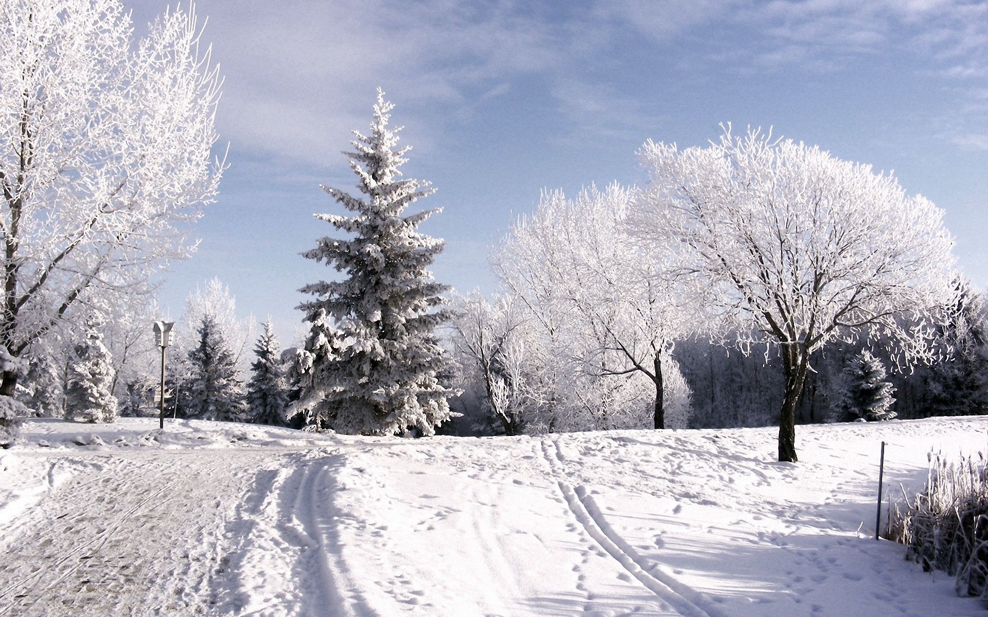 87377 Hintergrundbilder und Ski Bilder auf dem Desktop. Laden Sie winter, wolken, natur, bäume Bildschirmschoner kostenlos auf den PC herunter