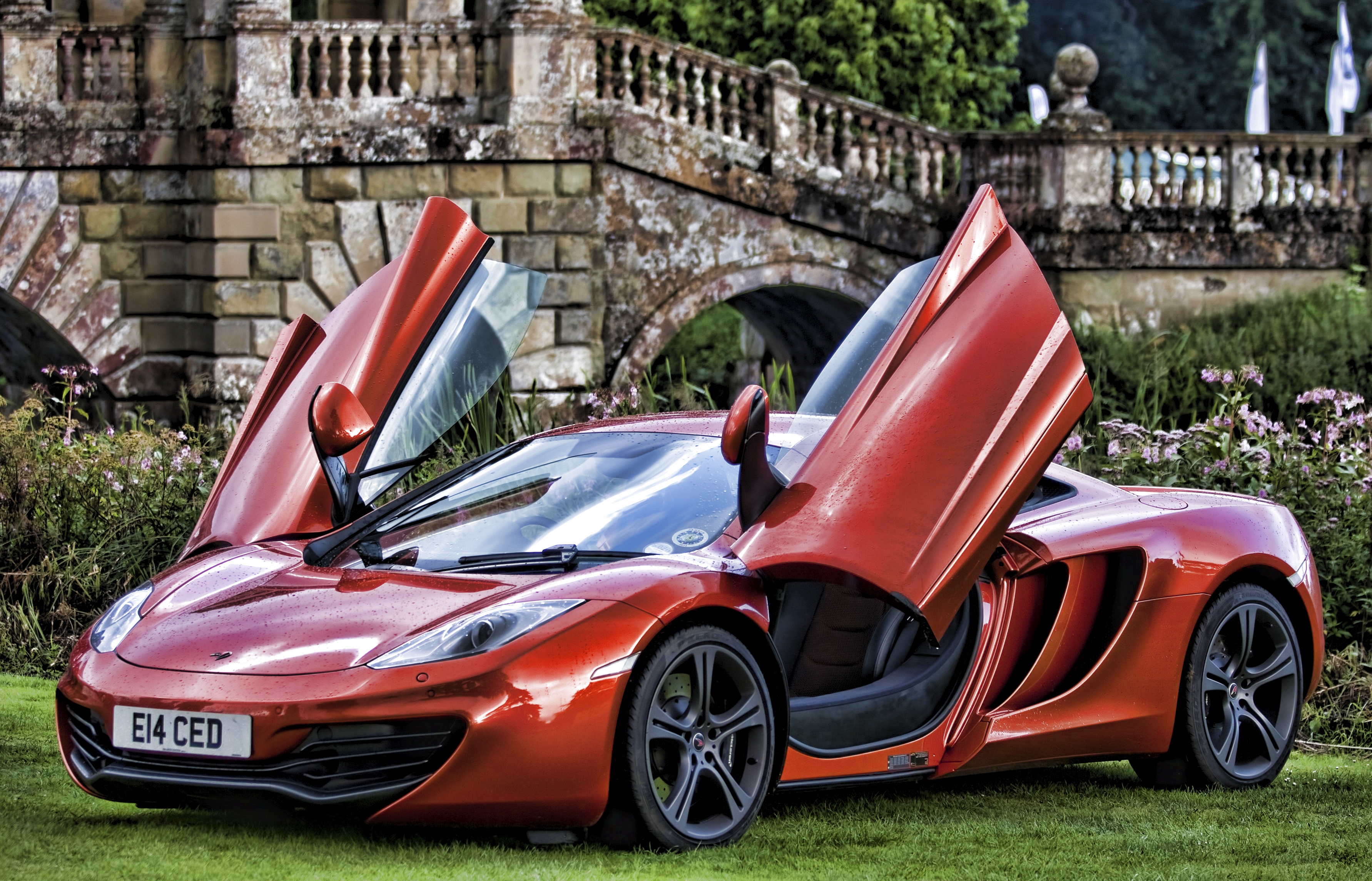 115199 Screensavers and Wallpapers Stylish for phone. Download grass, mclaren, cars, stylish, mp4-12c pictures for free