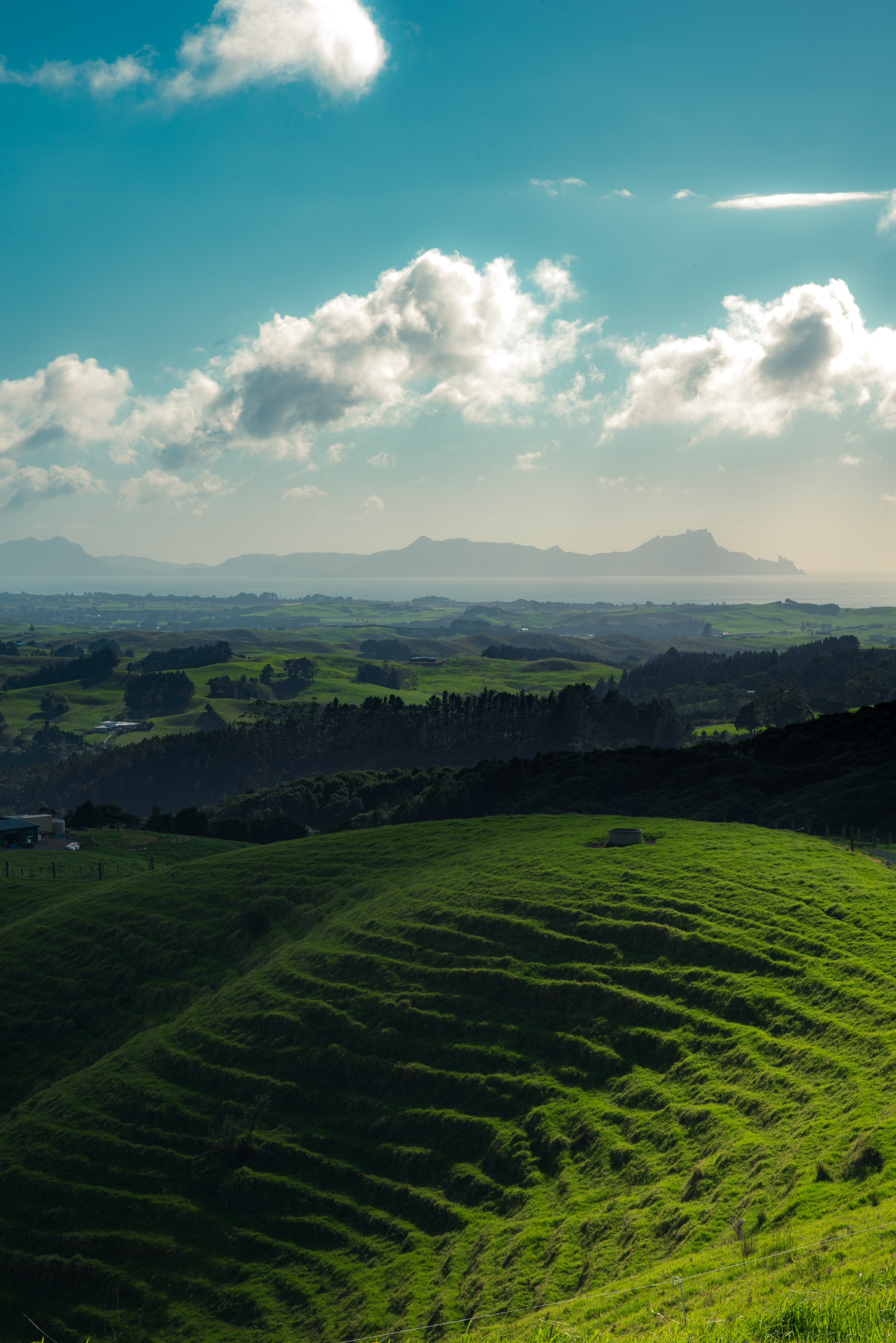 118802 скачать обои новая зеландия, природа, трава, горы, горизонт, холмы, фангареи - заставки и картинки бесплатно