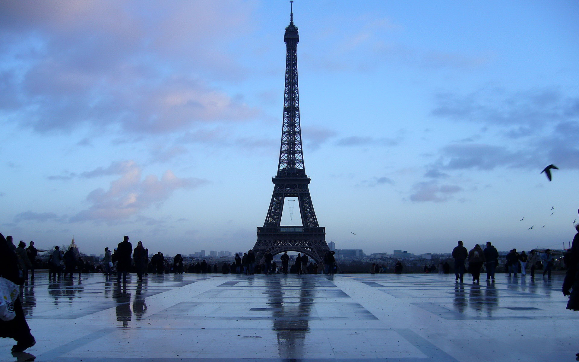 522200 Protetores de tela e papéis de parede Torre Eiffel em seu telefone. Baixe  fotos gratuitamente