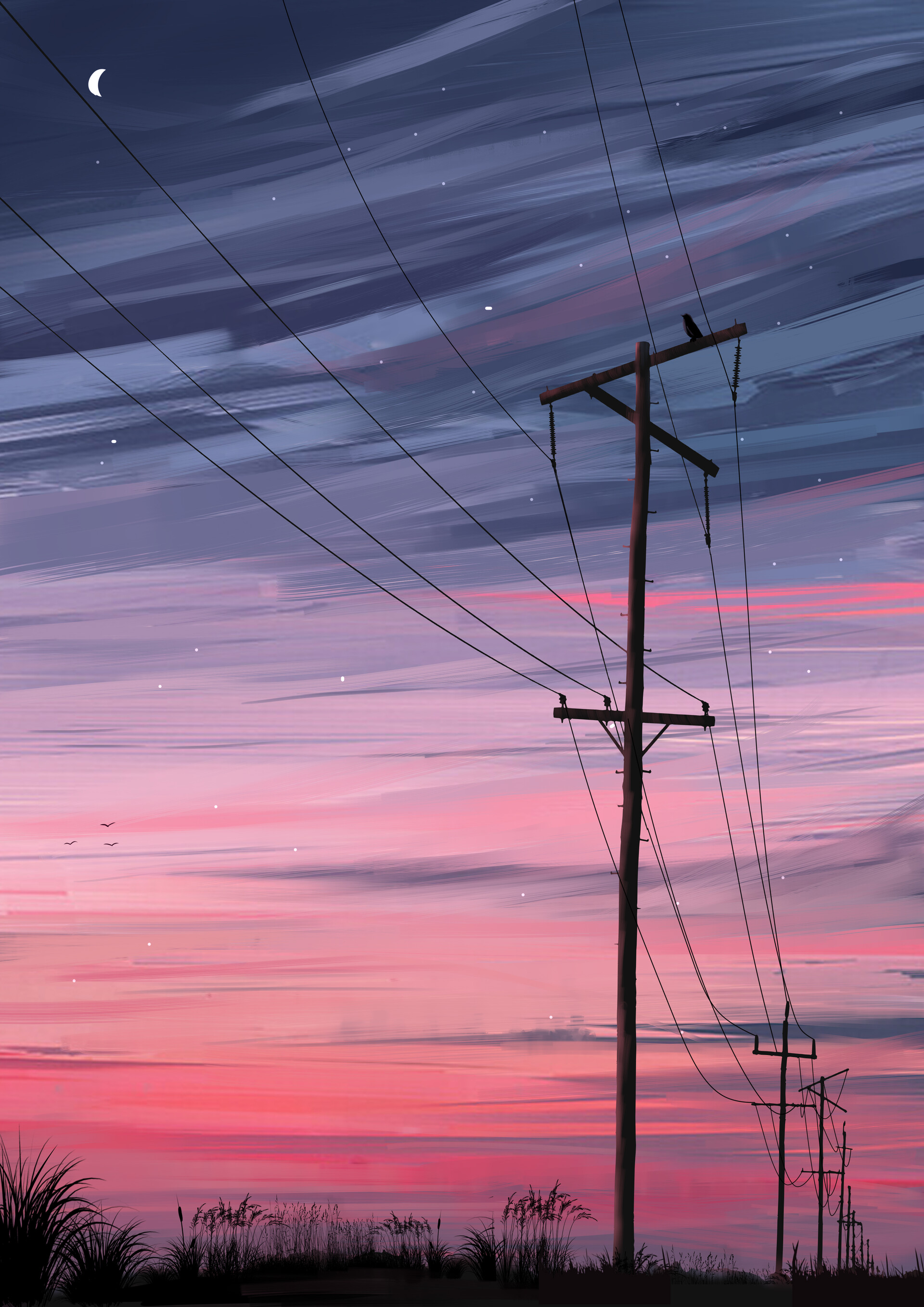 art, night, posts, pillars, wire, wires