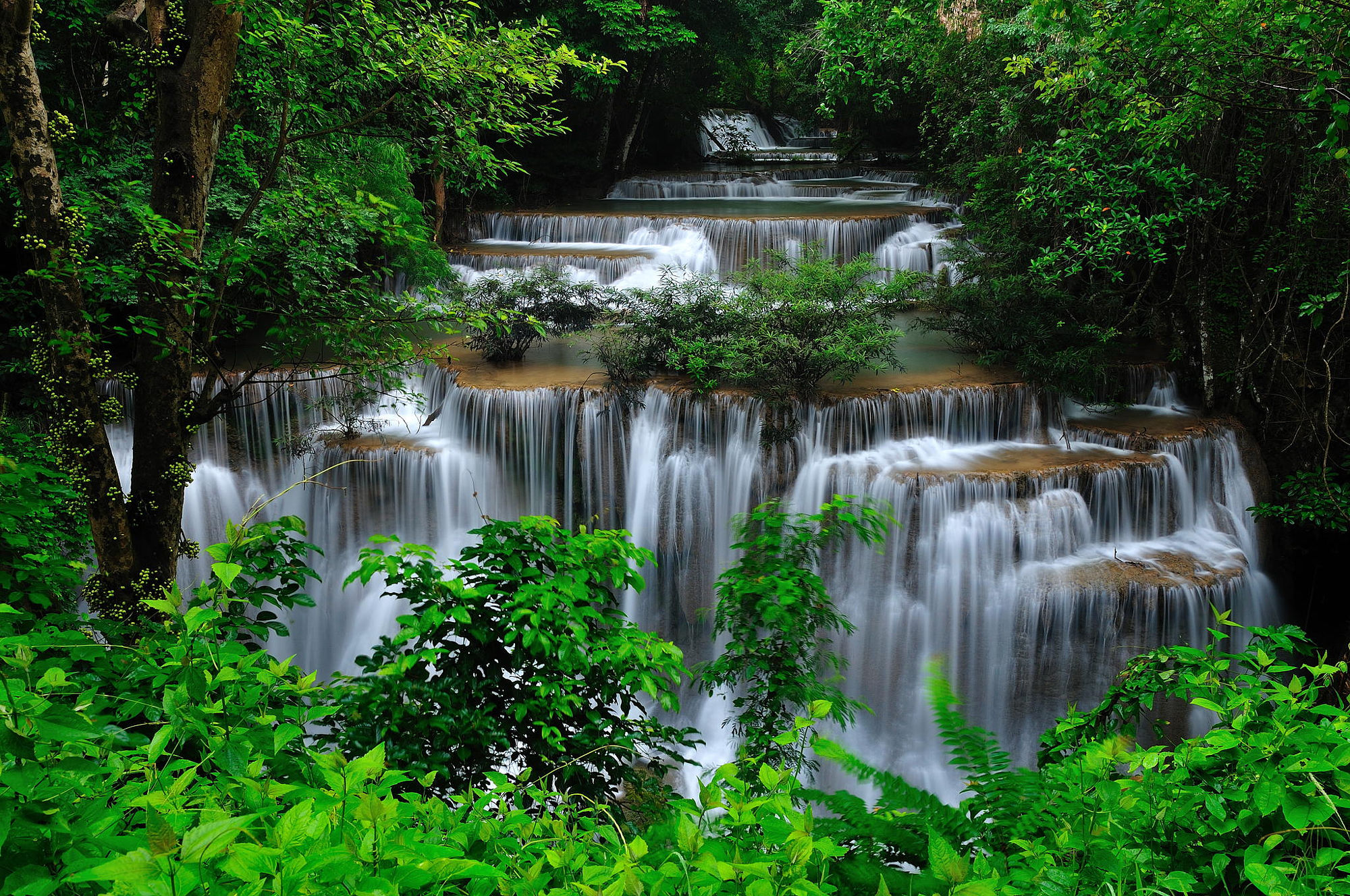 Озера водопад лес. Водопад Хуай мае камин Таиланд. Водопада «Хуай Кео». Лес озеро водопад. Красивый водопад в лесу.