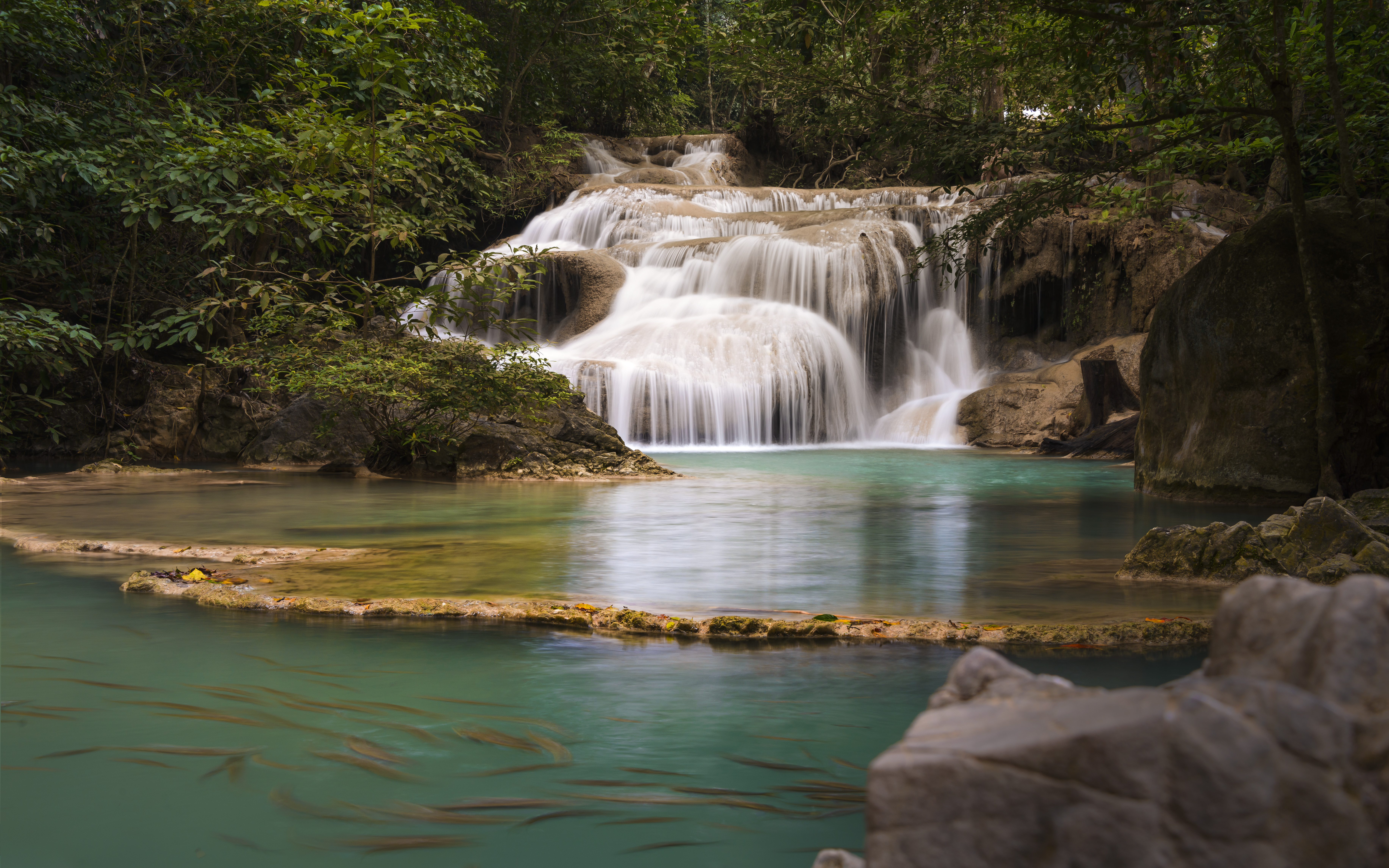 Laden Sie das Wasserfall, Natur, Wasser, Bäume, Stones, Geäst, Zweige-Bild kostenlos auf Ihren PC-Desktop herunter