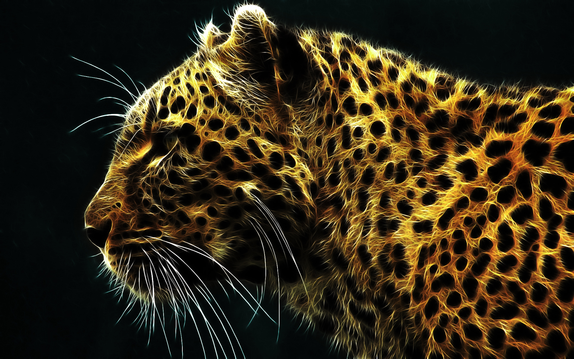 leopard, cats Panoramic Wallpapers