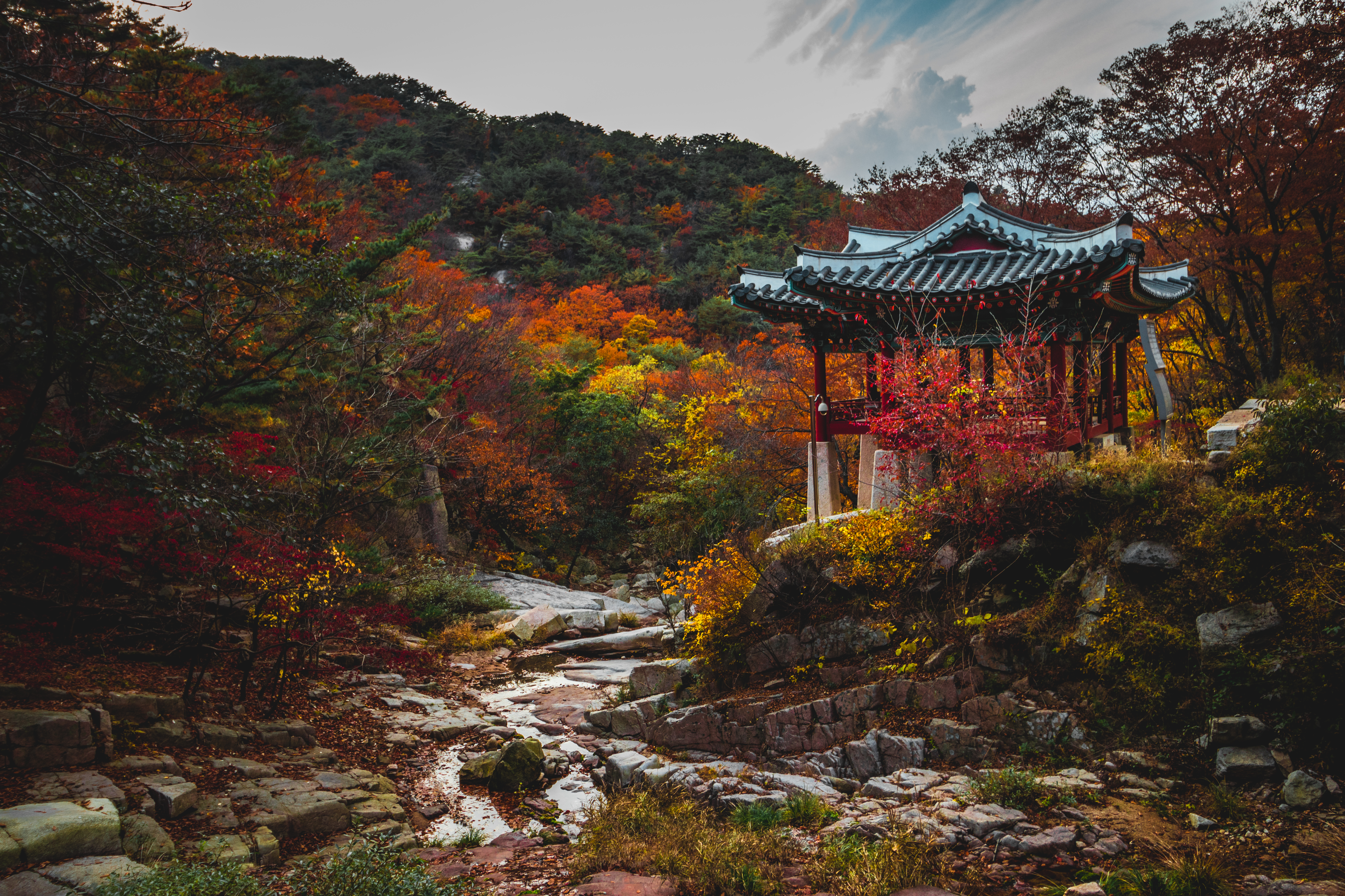 garden, nature, trees, autumn, pagoda Smartphone Background