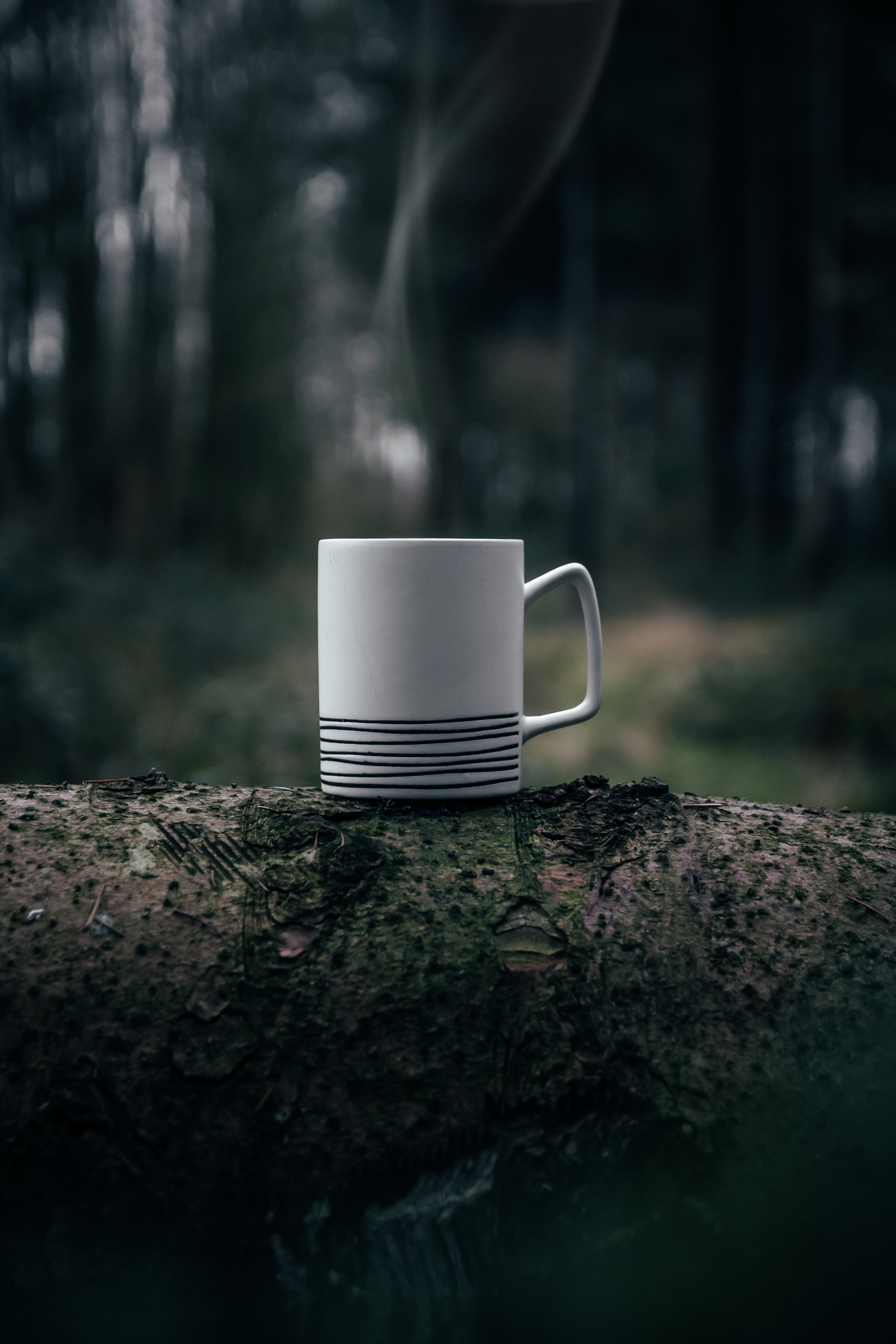 cup, macro, miscellanea, miscellaneous, blur, smooth, moss, steam, mug