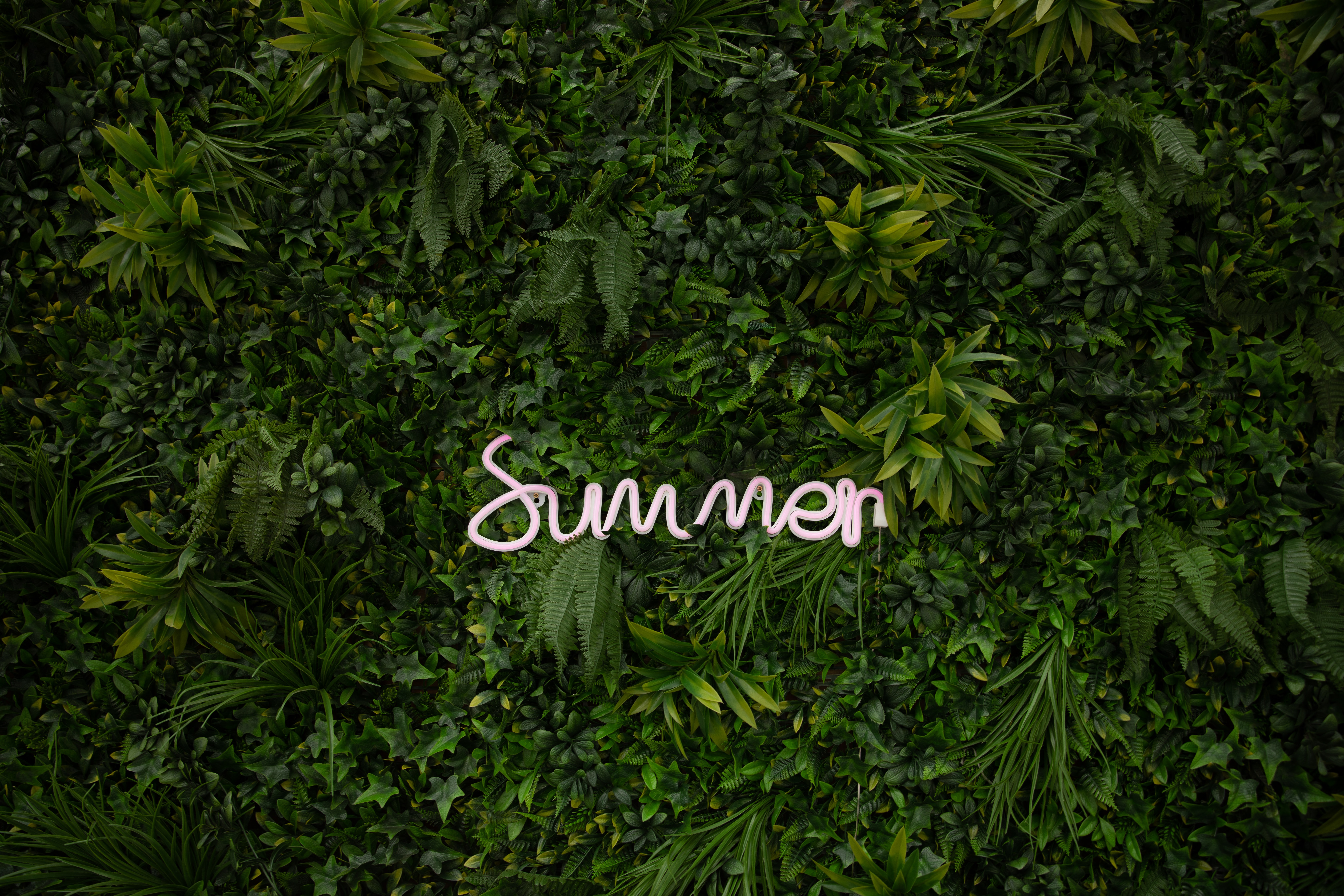 summer, inscription, plants, words, vegetation, greens Full HD