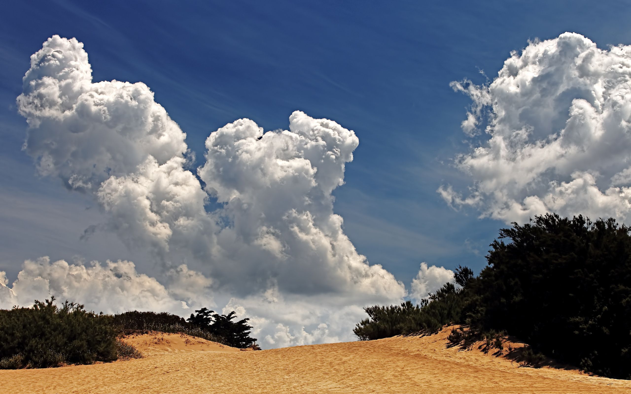 137541 Hintergrundbilder und Vegetation Bilder auf dem Desktop. Laden Sie clouds, wüste, sky, natur Bildschirmschoner kostenlos auf den PC herunter