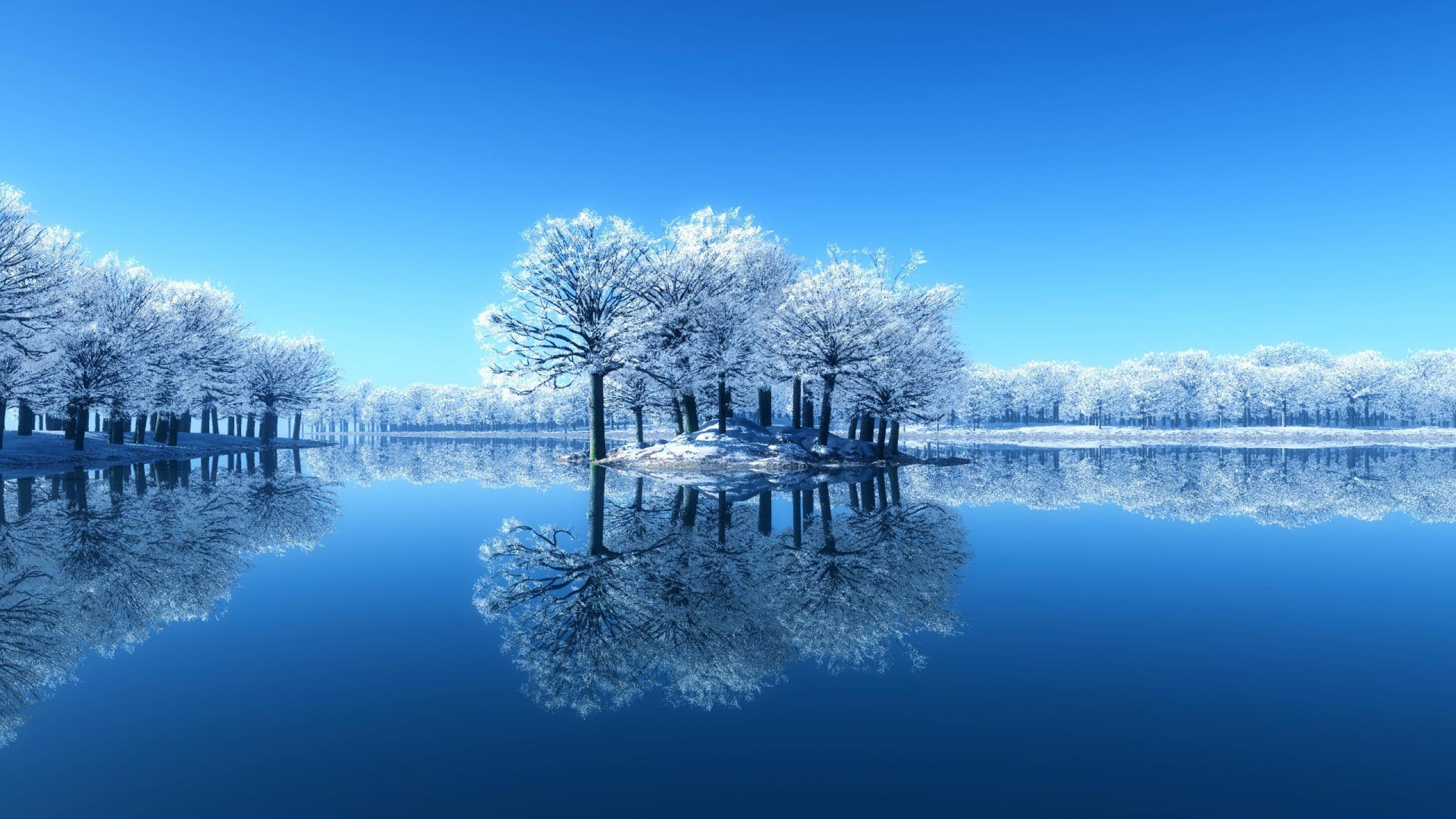reflection, tree, winter, earth Widescreen Wallpaper