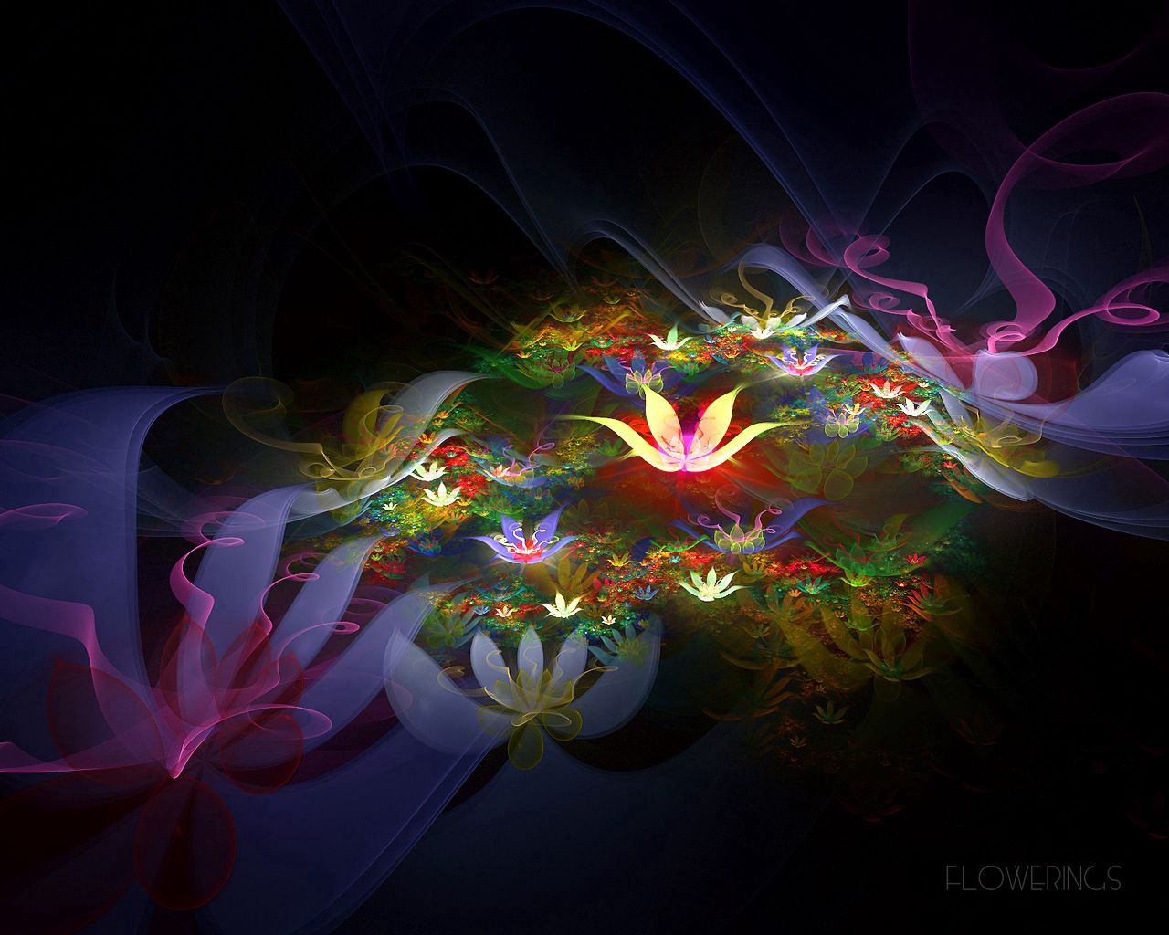 UHD wallpaper shroud, space, abstract, flowers