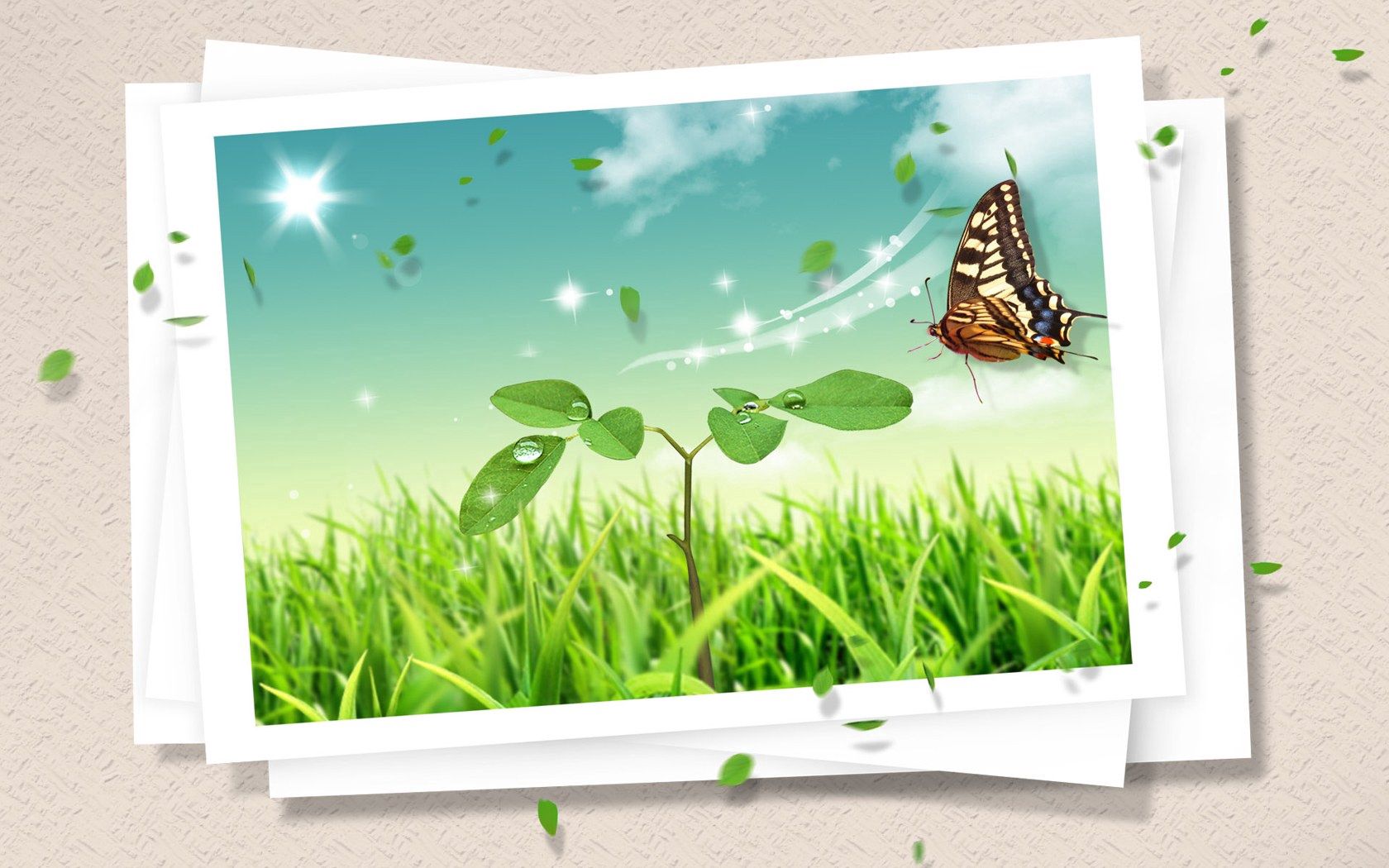 Phone Wallpaper butterfly, clipart, photograph, photocard