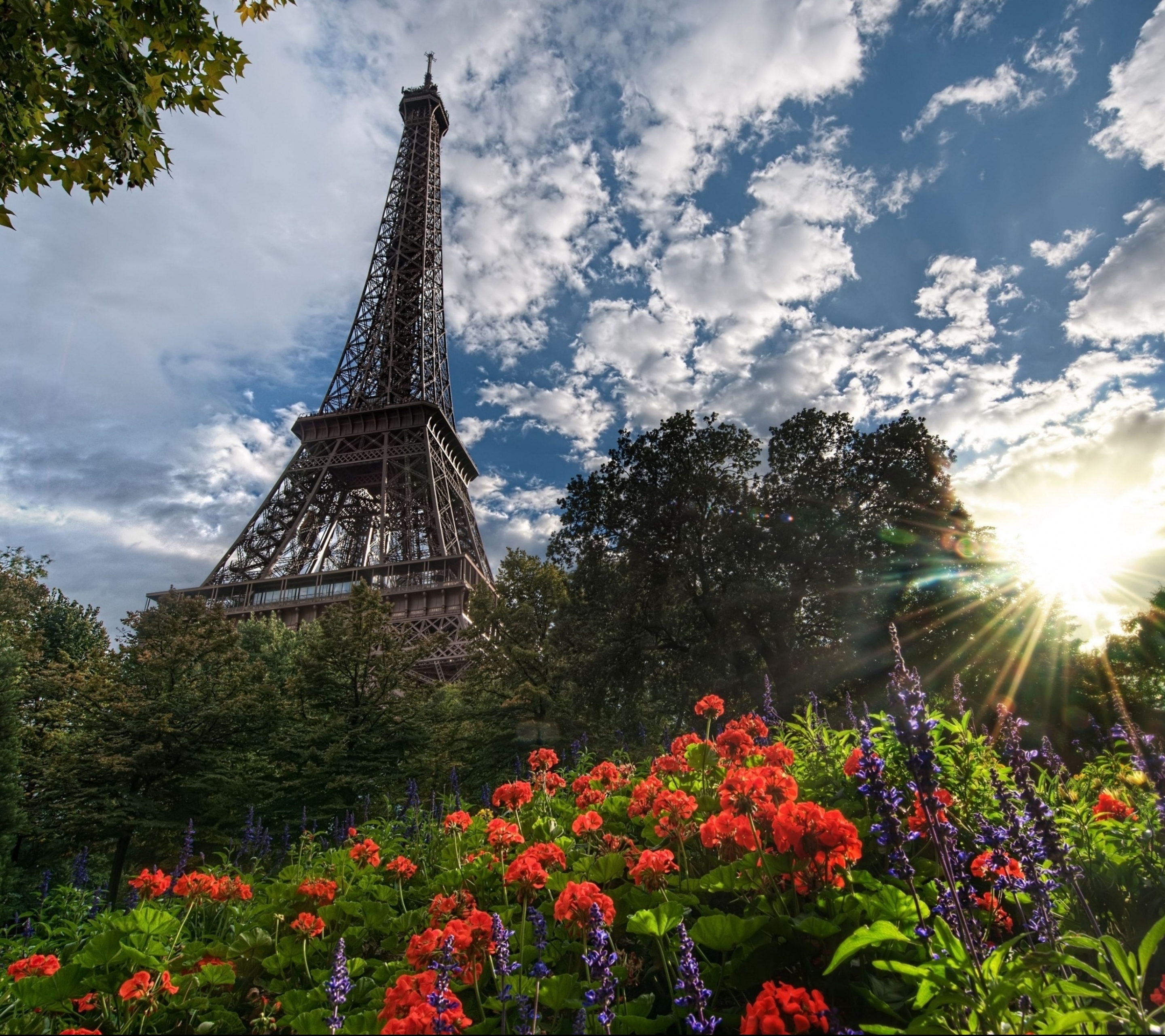 Большие картинки. Эйфелева башня в Париже. Франция эфельная башня. Париж эльфивая башня цветы. Эйфелева башня в Париже фото.