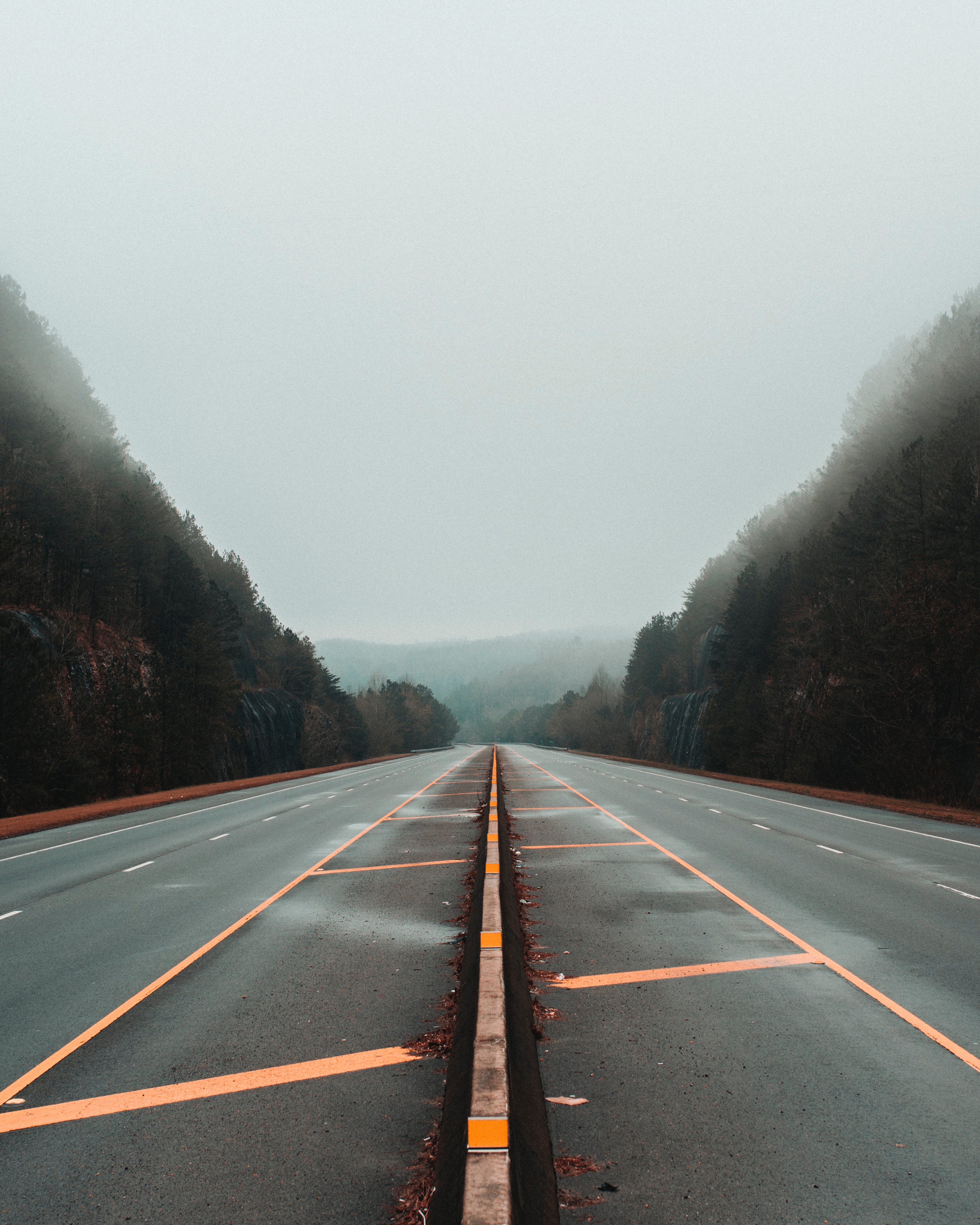 Road markup, fog, nature, lines desktop Images