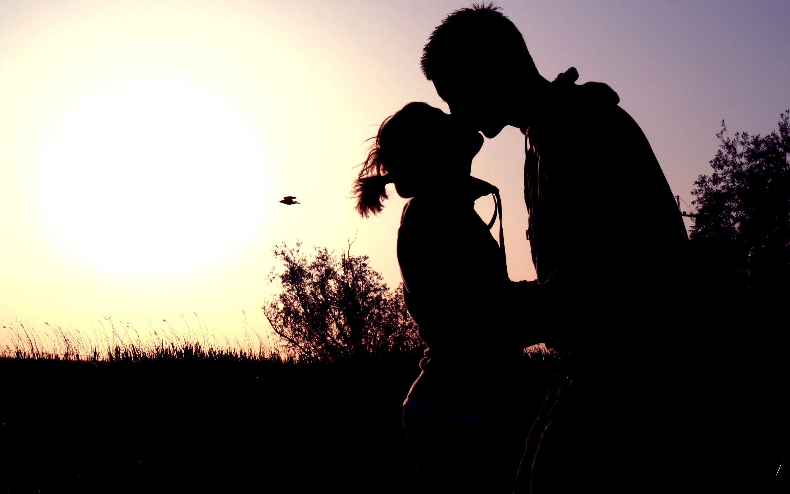 97815 download wallpaper sunset, love, couple, pair, shadow, romance, kiss, embrace screensavers and pictures for free