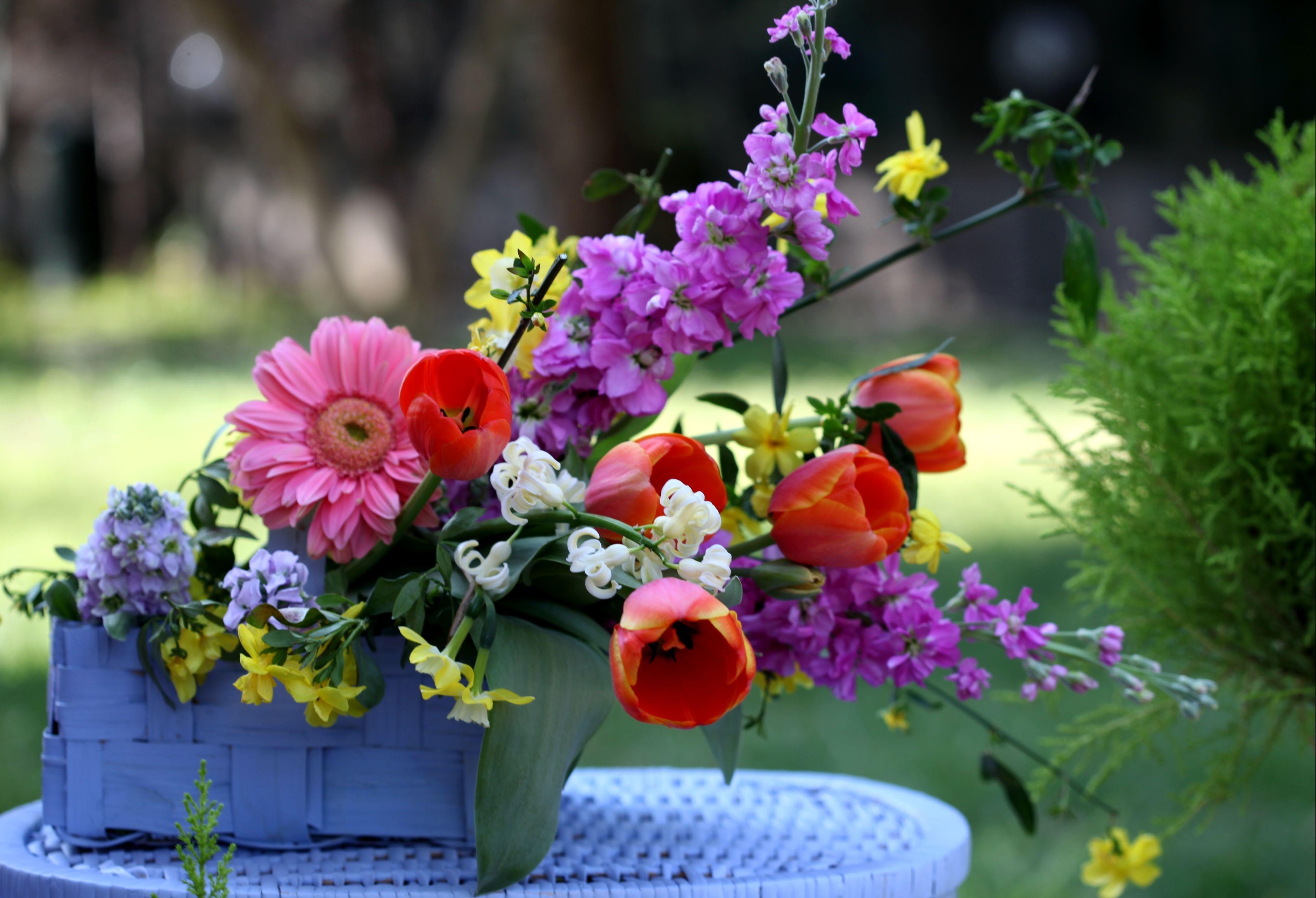 High Definition wallpaper flowers, composition, gillyflower, basket