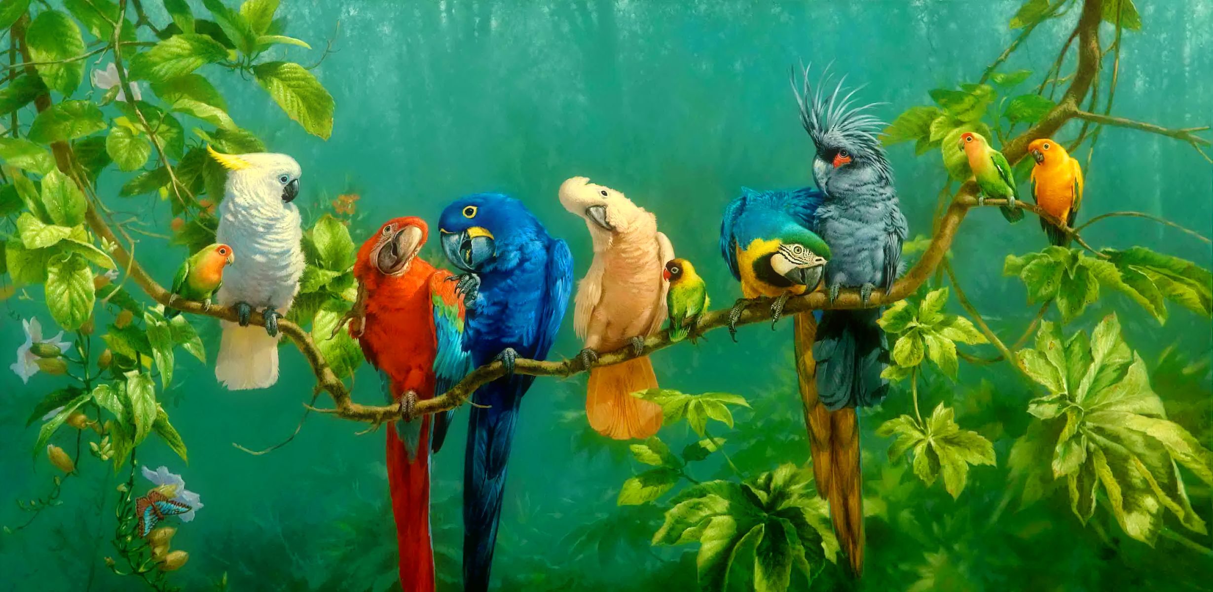 bird, macaw, cockatoo, branch, tropical, parrot, colorful, leaf, birds, colors, animal HD wallpaper