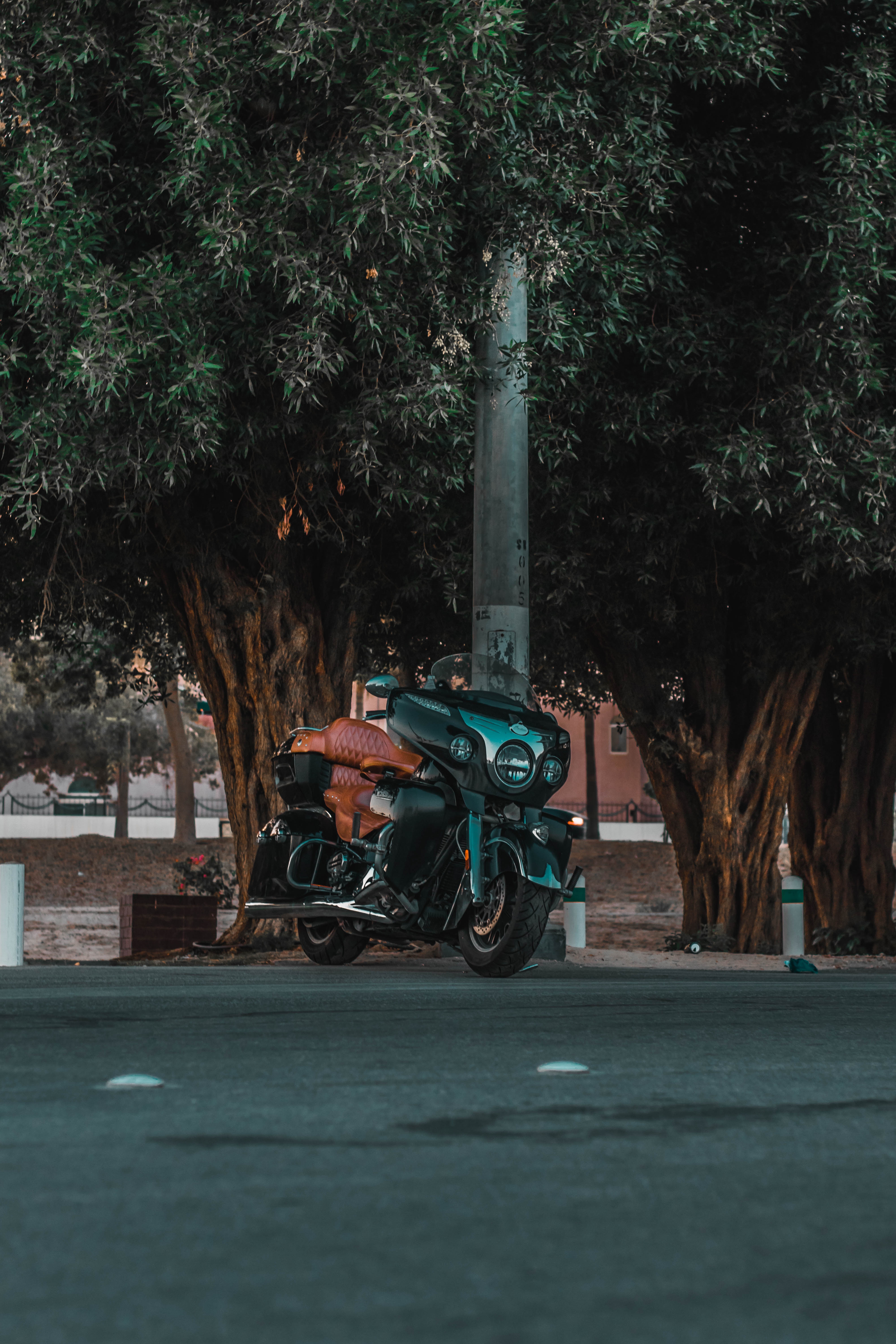 bike, motorcycles, street, road download for free