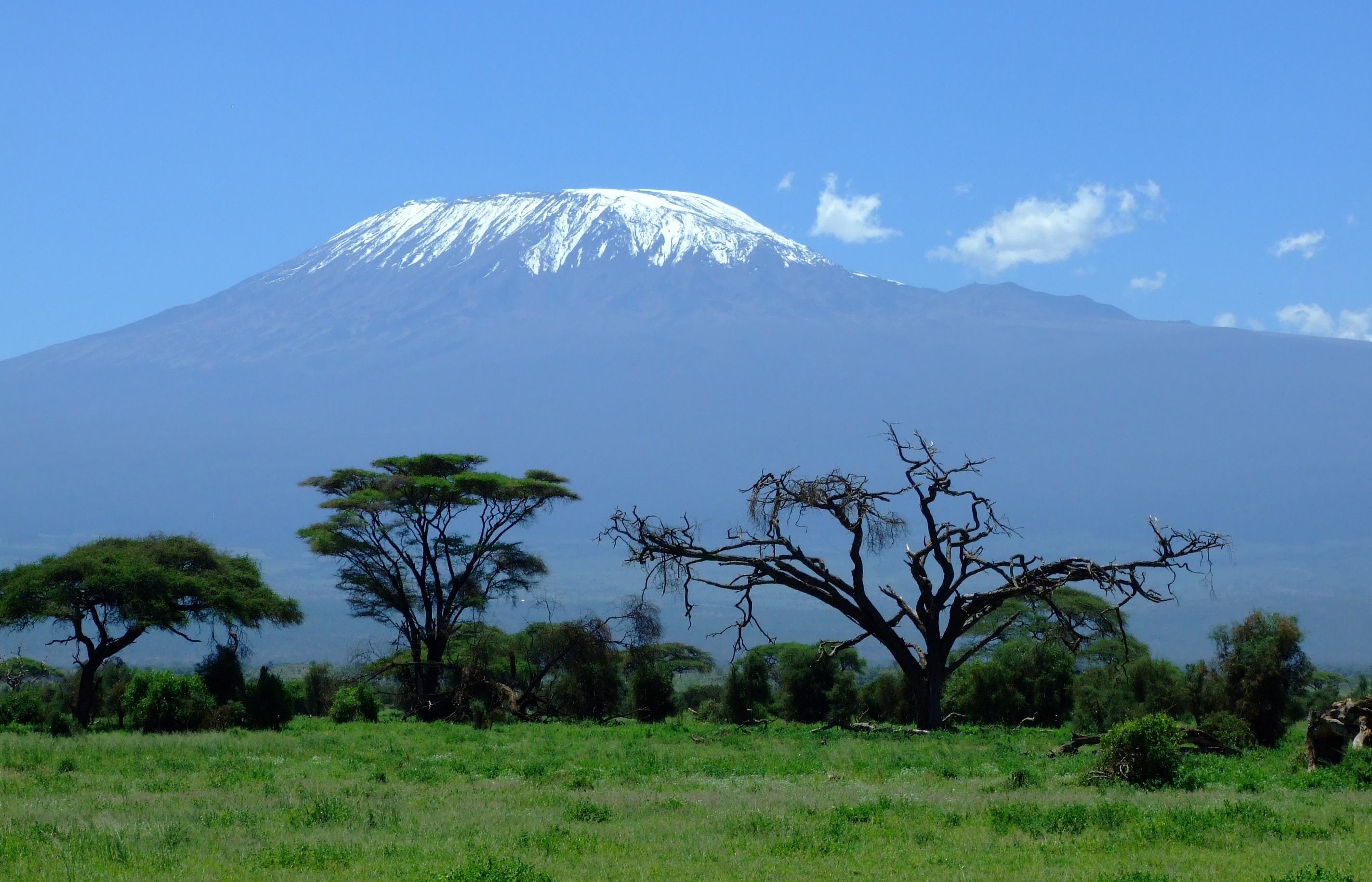 764538壁紙のダウンロード地球, キリマンジャロ山, アフリカ, キリマンジャロ, 風景, 自然, 木, 火山-スクリーンセーバーと写真を無料で