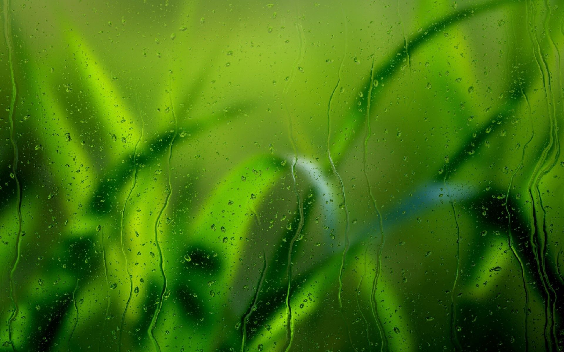 122263 descargar fondo de pantalla hierba, lluvia, drops, macro, vidrio: protectores de pantalla e imágenes gratis