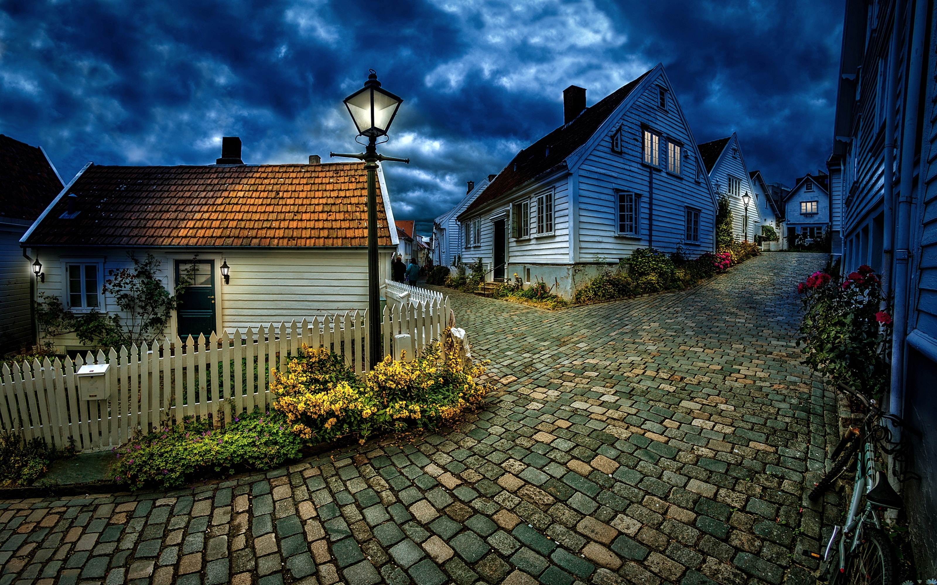 Деревенская улица с домами