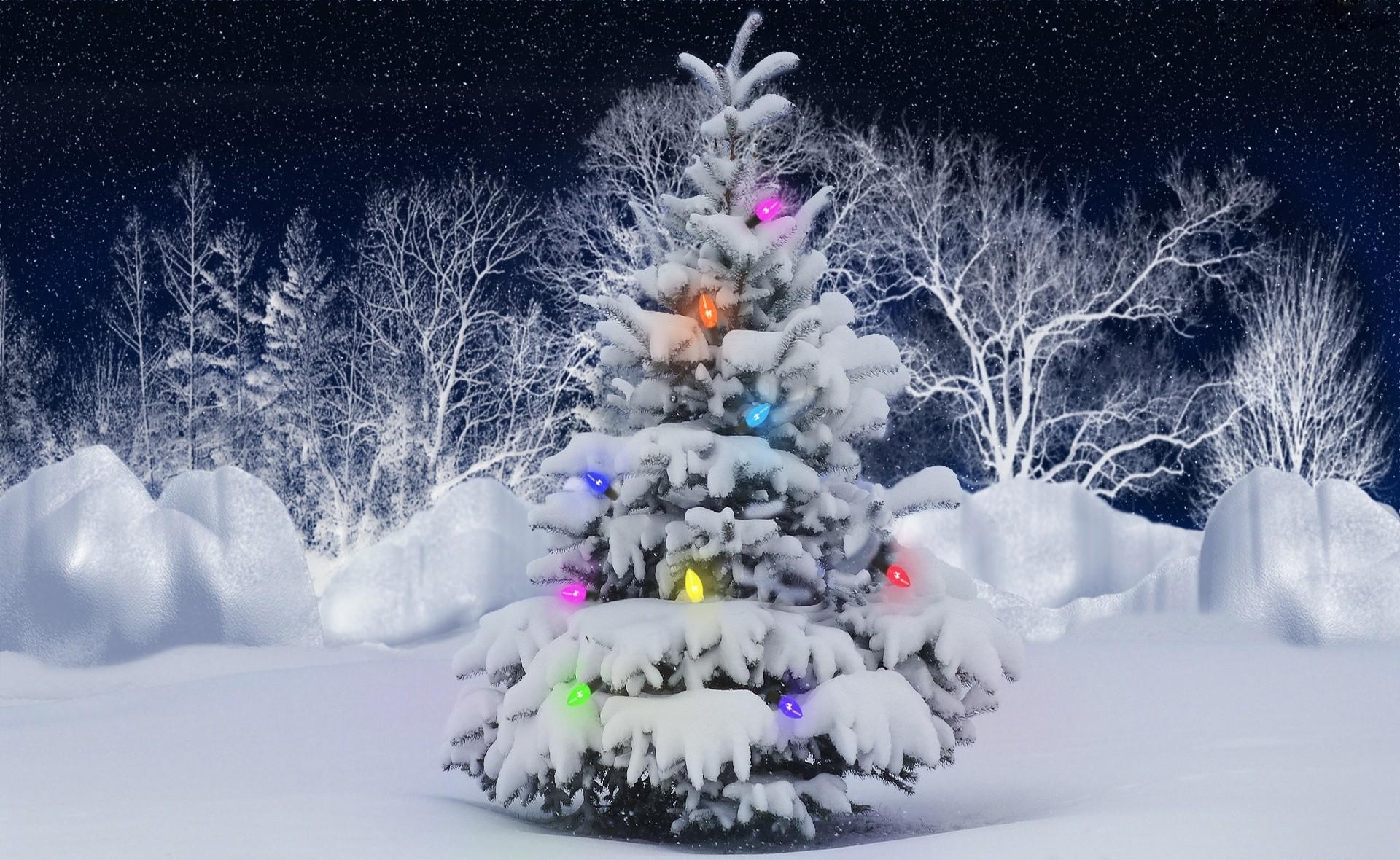 holidays, hoarfrost, trees, snow, frost, christmas tree, garland High Definition image