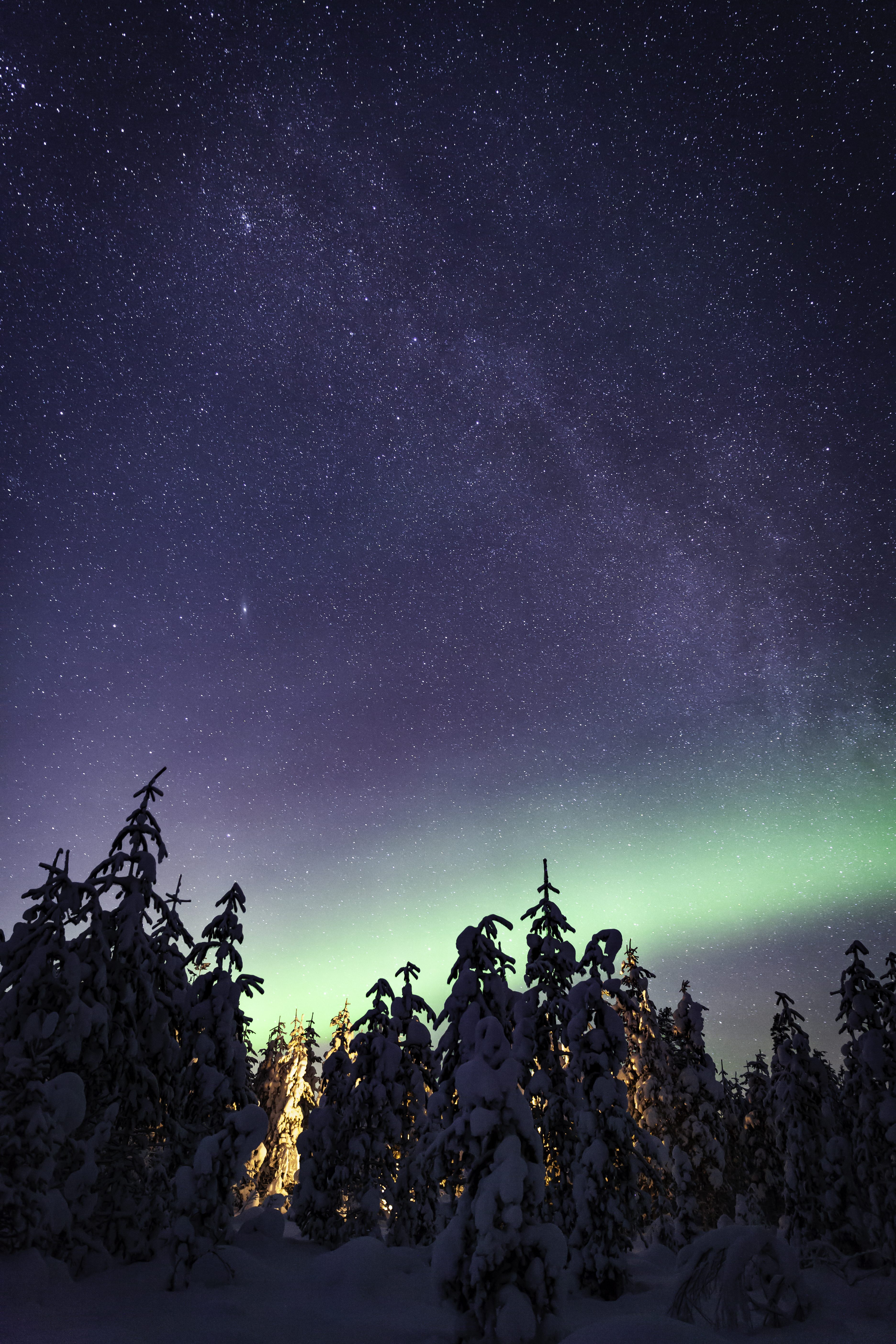 nature, trees, northern lights, starry sky HD Mobile