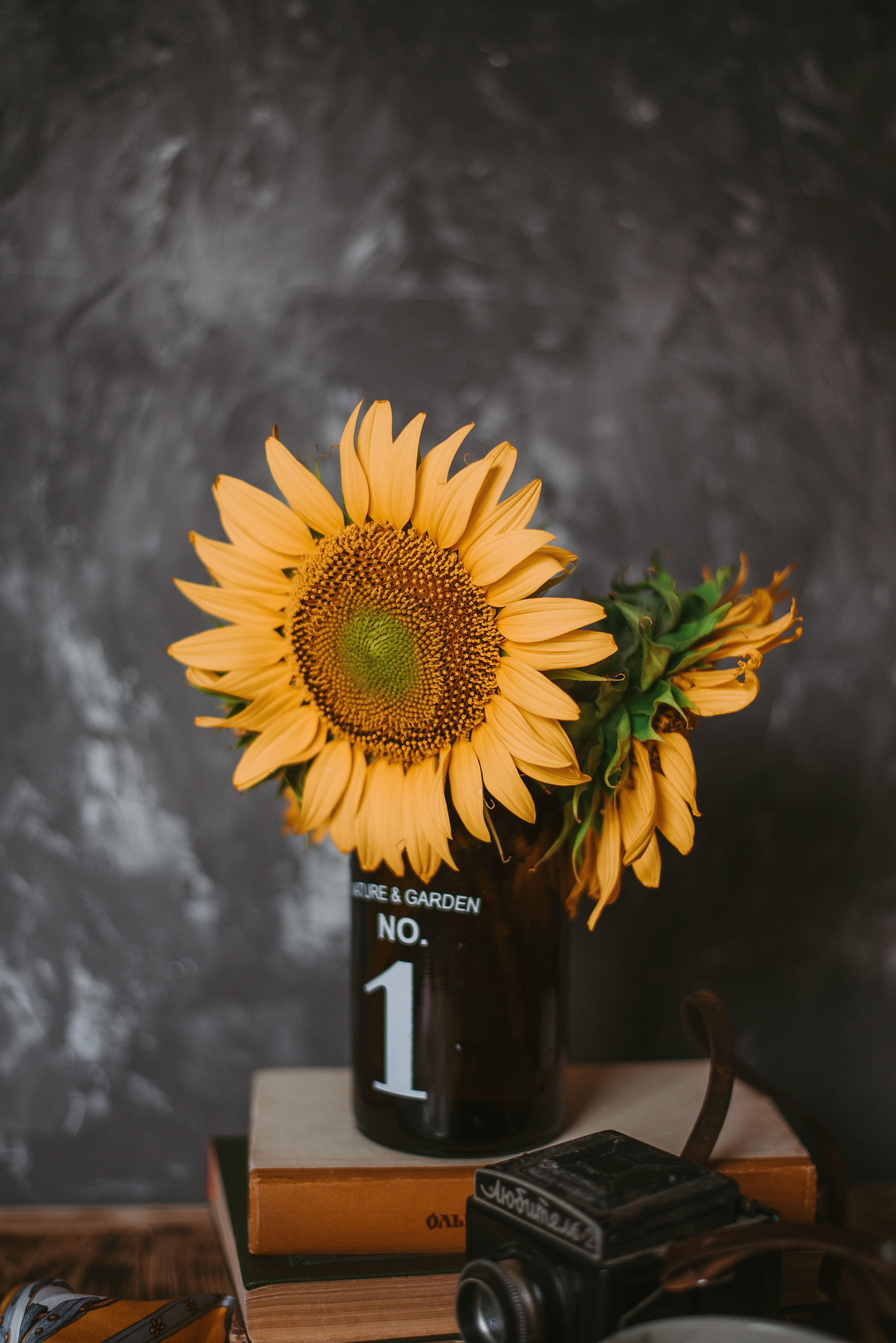 sunflowers, books, flowers, miscellanea, miscellaneous, vase, camera