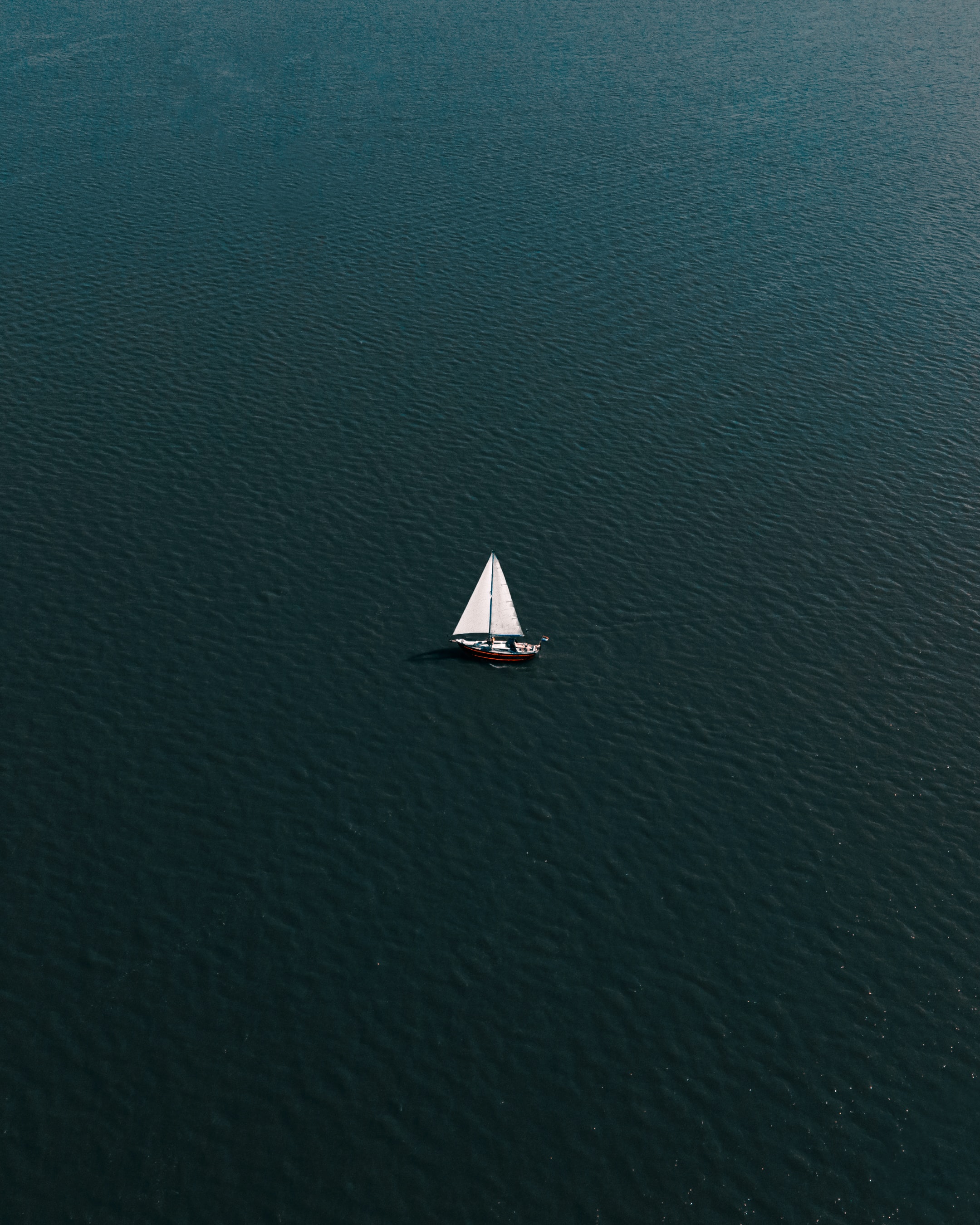 102946 Bildschirmschoner und Hintergrundbilder Segelboot auf Ihrem Telefon. Laden Sie sailfish, wellig, waves, verschiedenes Bilder kostenlos herunter