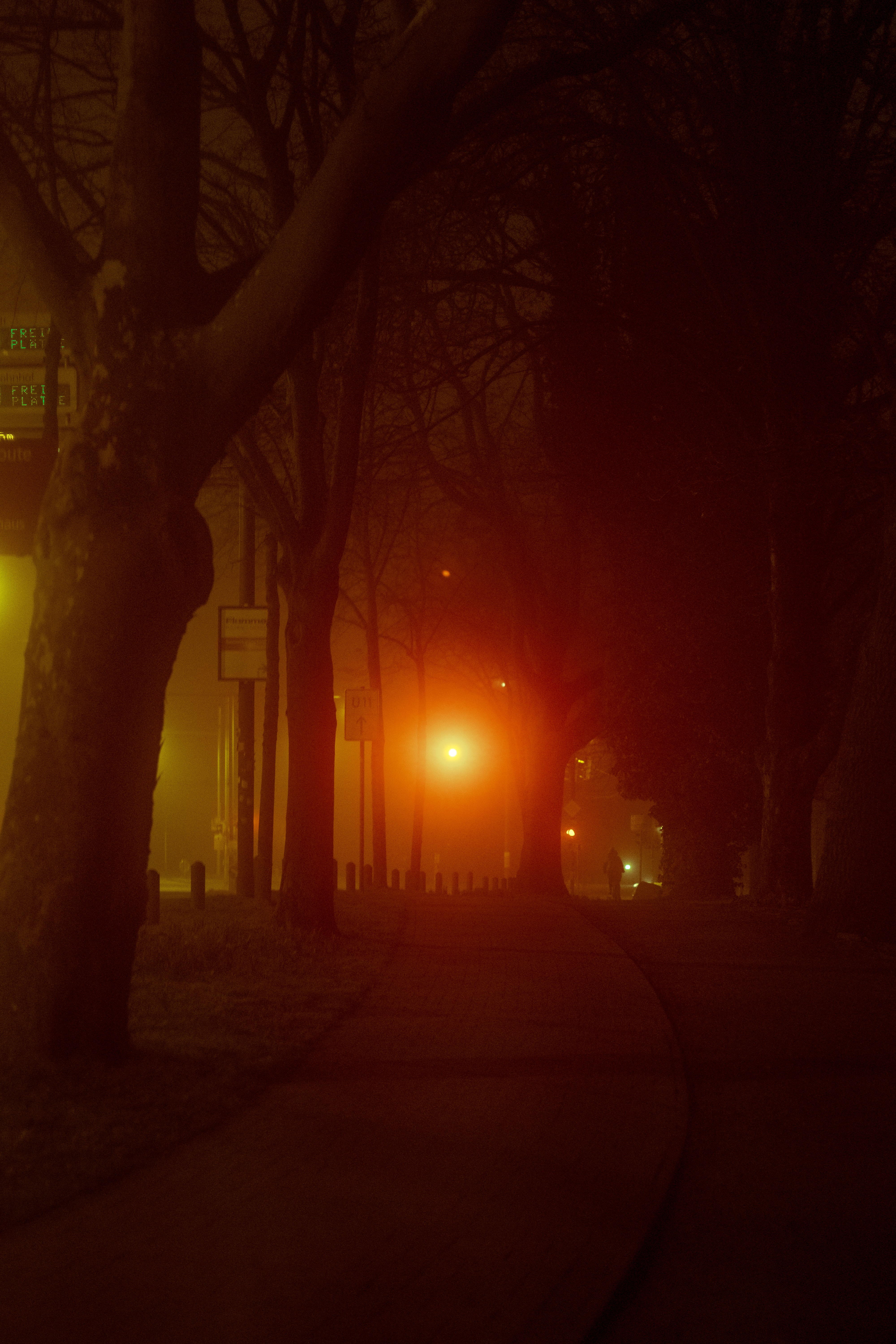 lamp, trees, dark, shine, light, silhouette, road, lantern images
