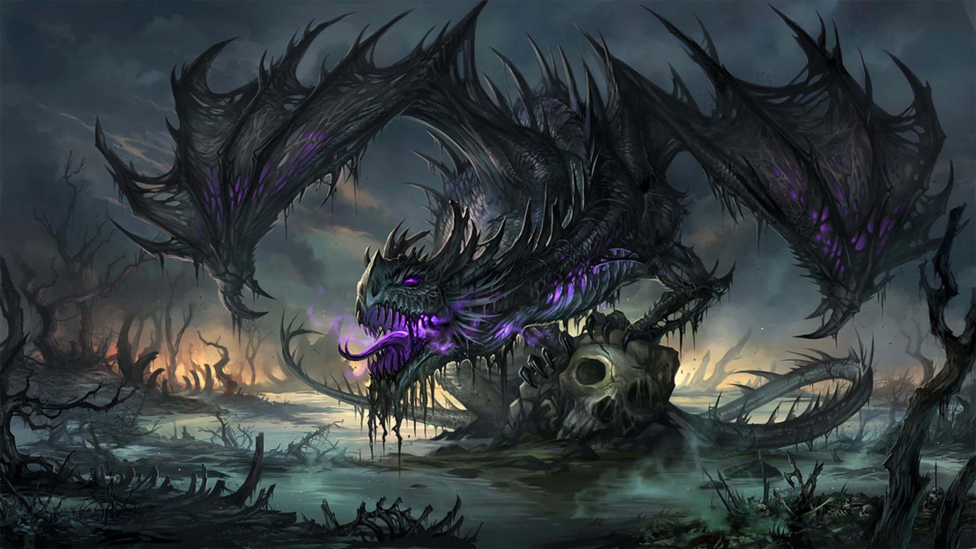 fantasy, skull, dragon HD wallpaper