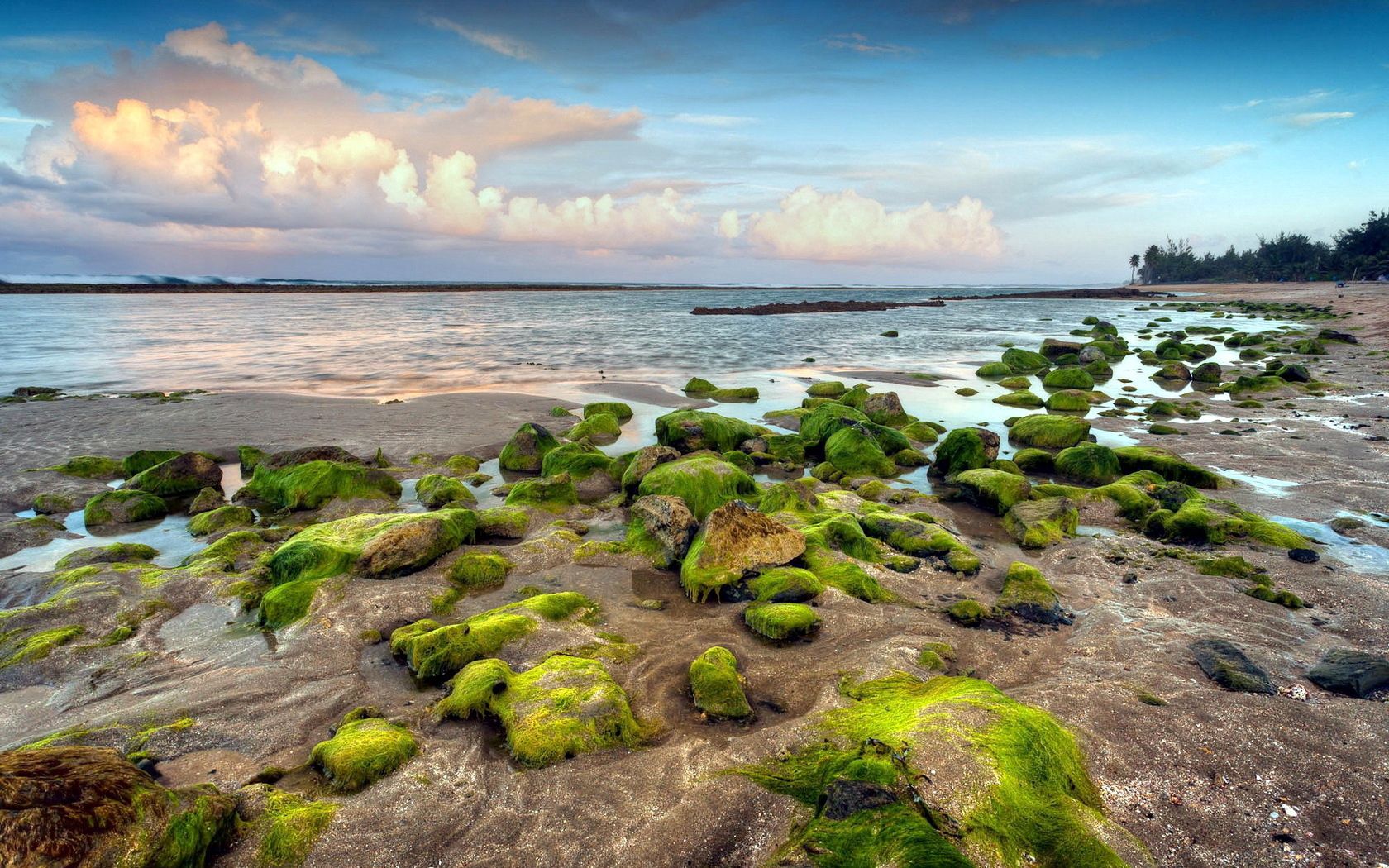 rocky, moss, nature, relief Panoramic Wallpapers