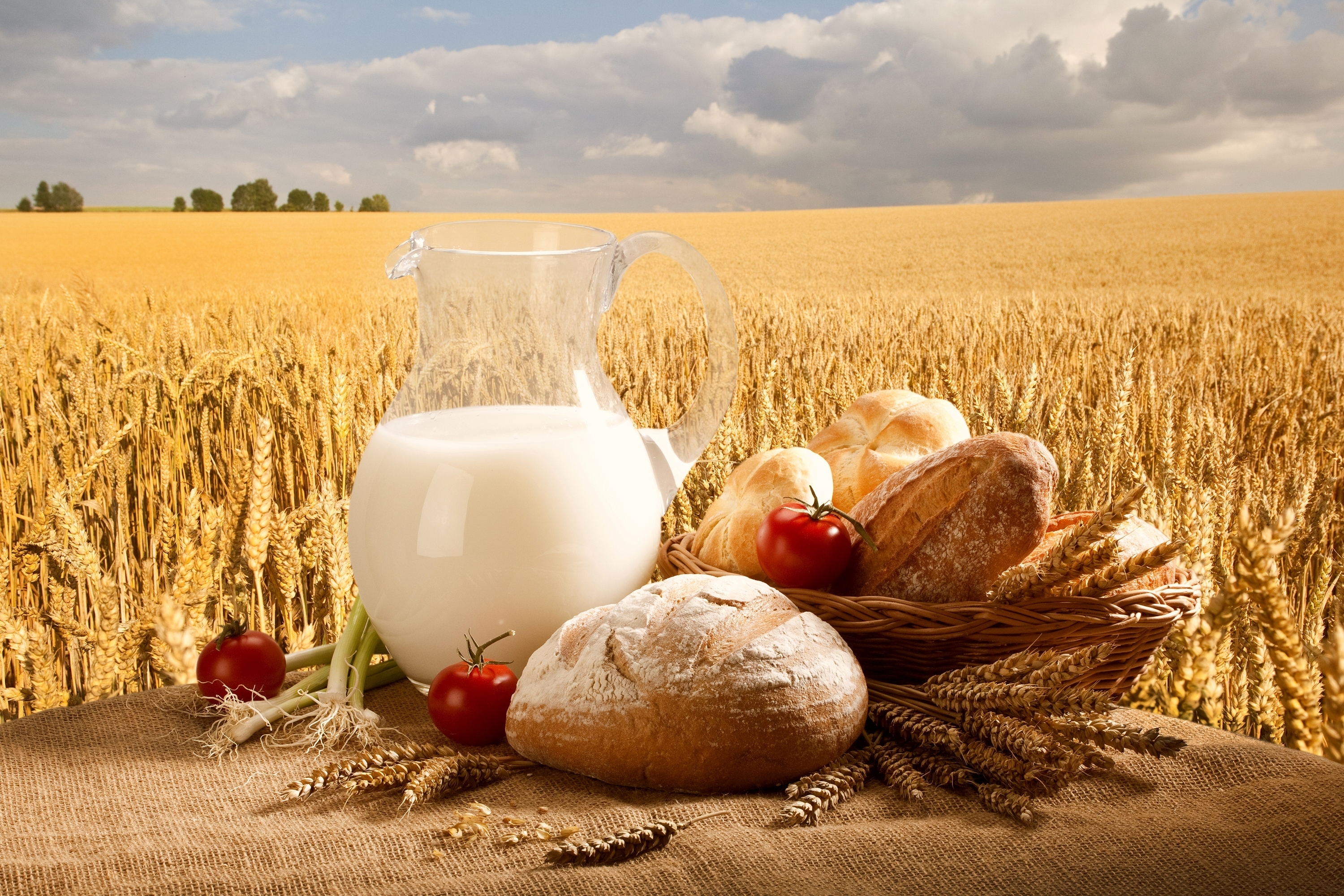 food, still life, basket, bread, field, onion, sky, tomato, wheat 8K