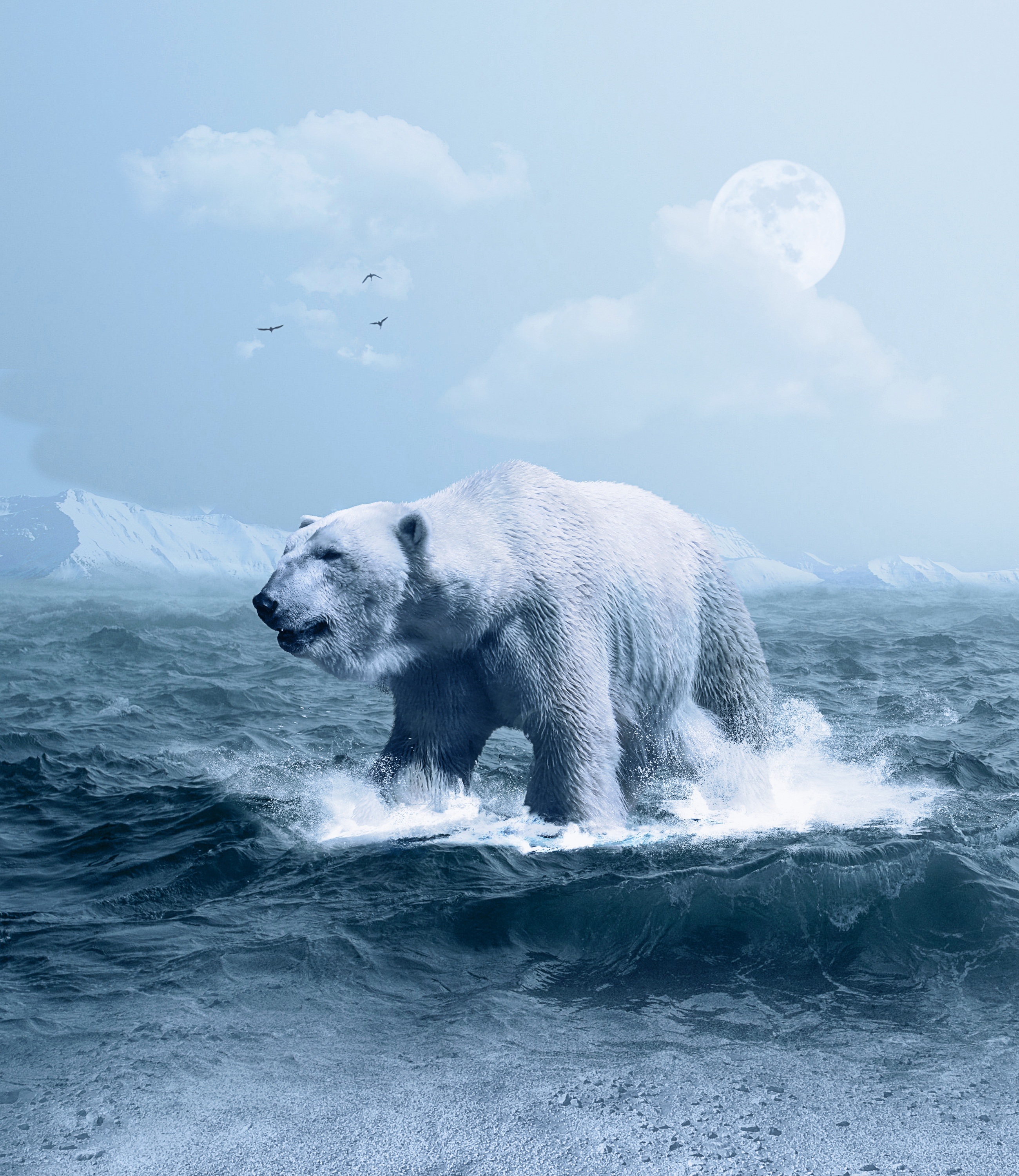 Handy-Wallpaper Tiere, Waves, Ozean, Photoshop, Eisbär, Polarbär kostenlos herunterladen.