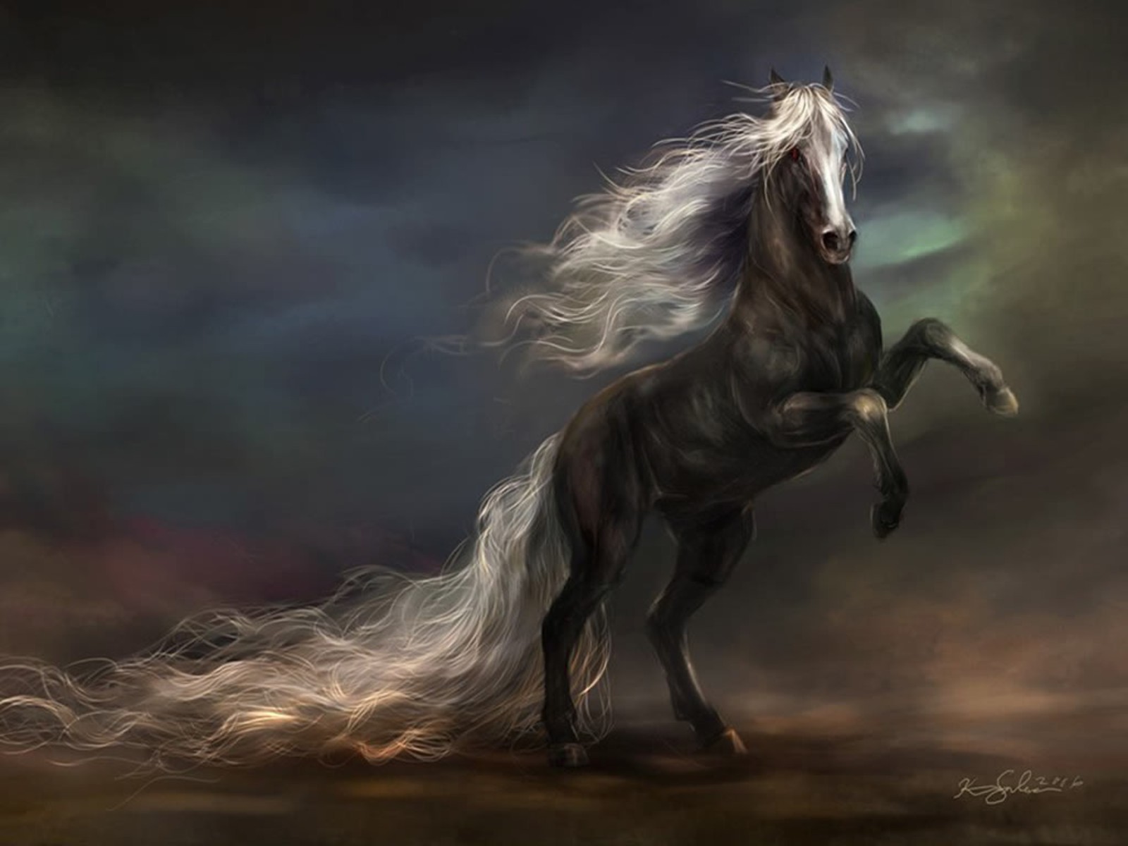animal, horse wallpapers for tablet