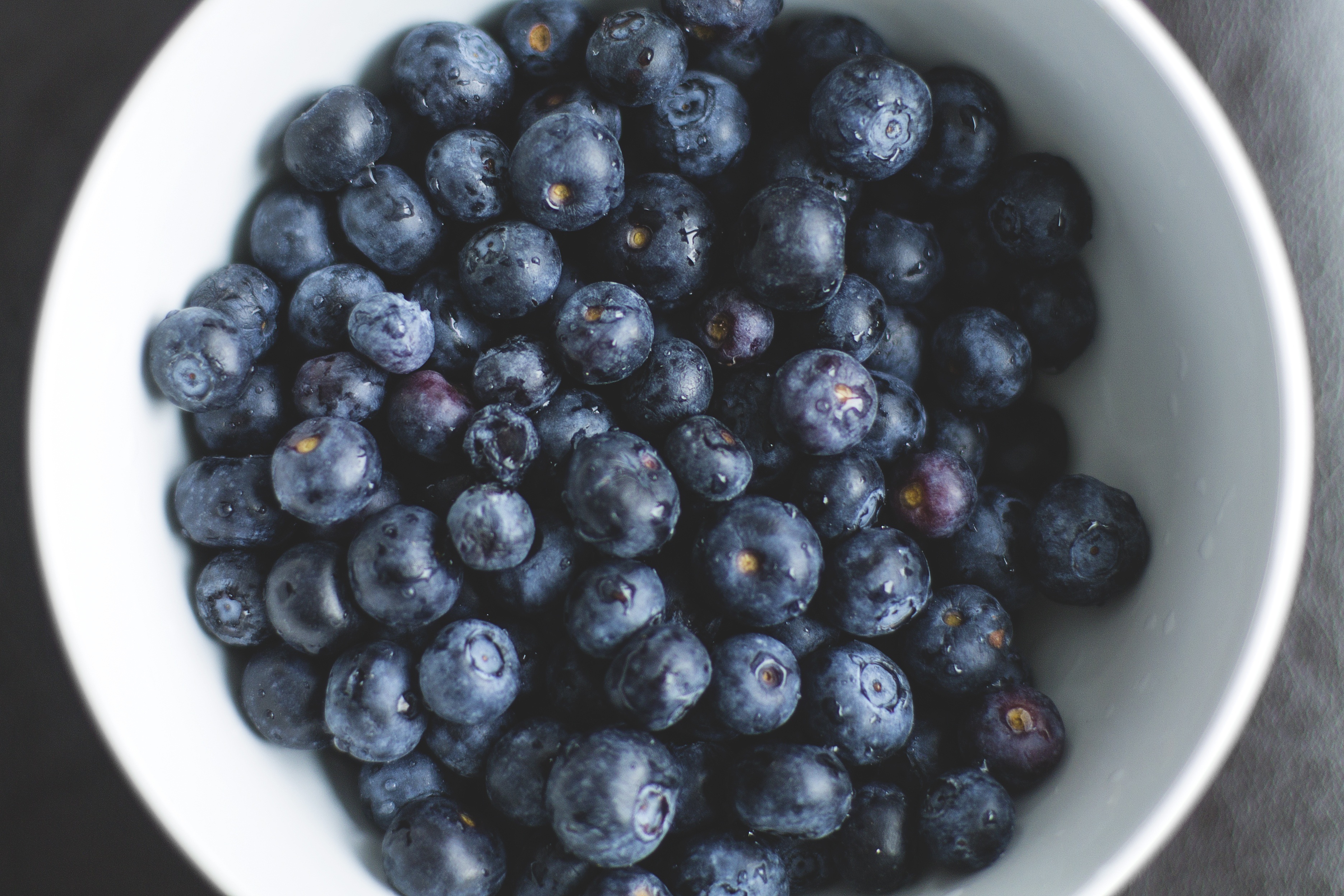 Ripe bilberries, berries, food, plate 8k Backgrounds