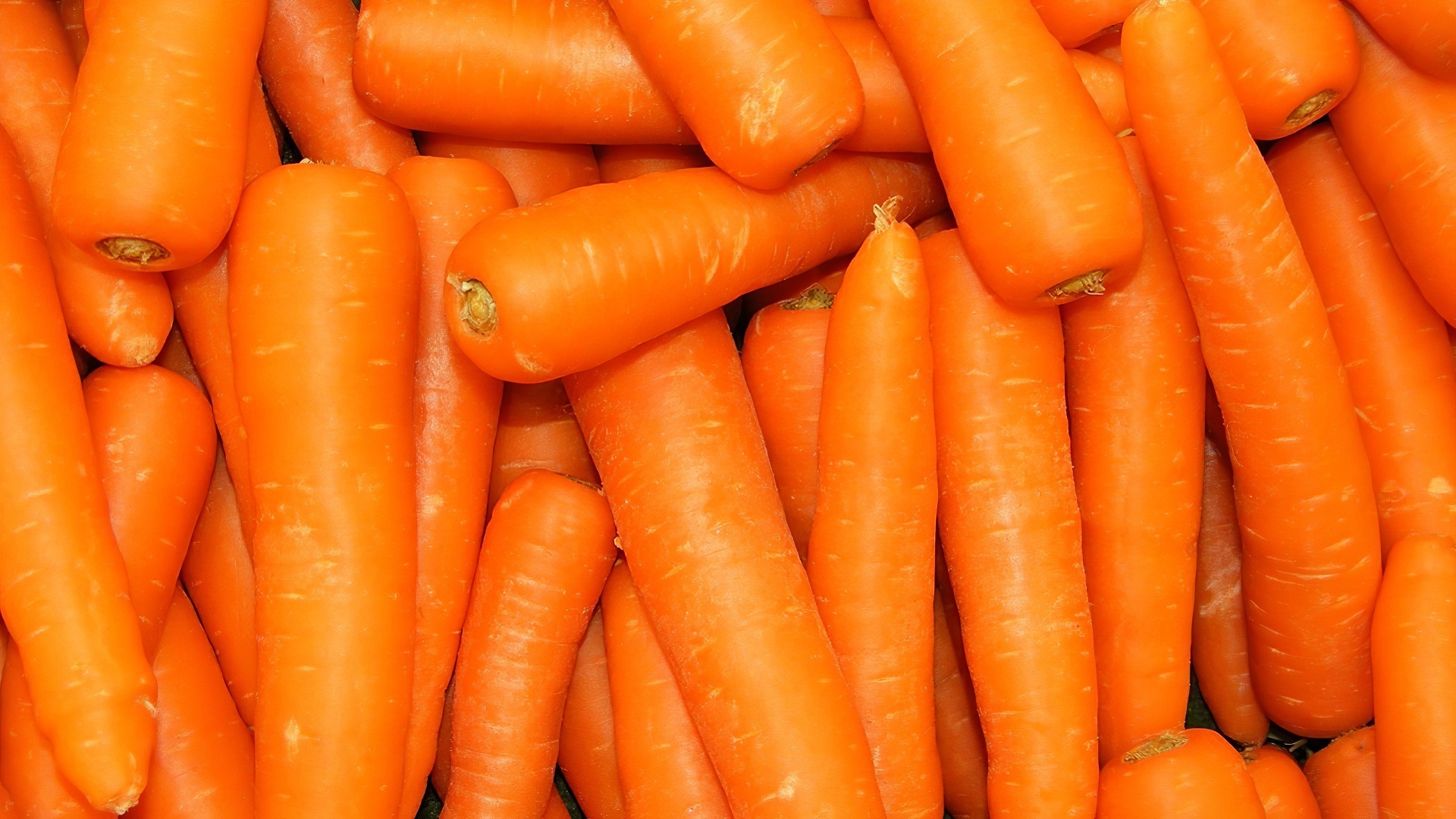 La zanahoria cruda estriñe