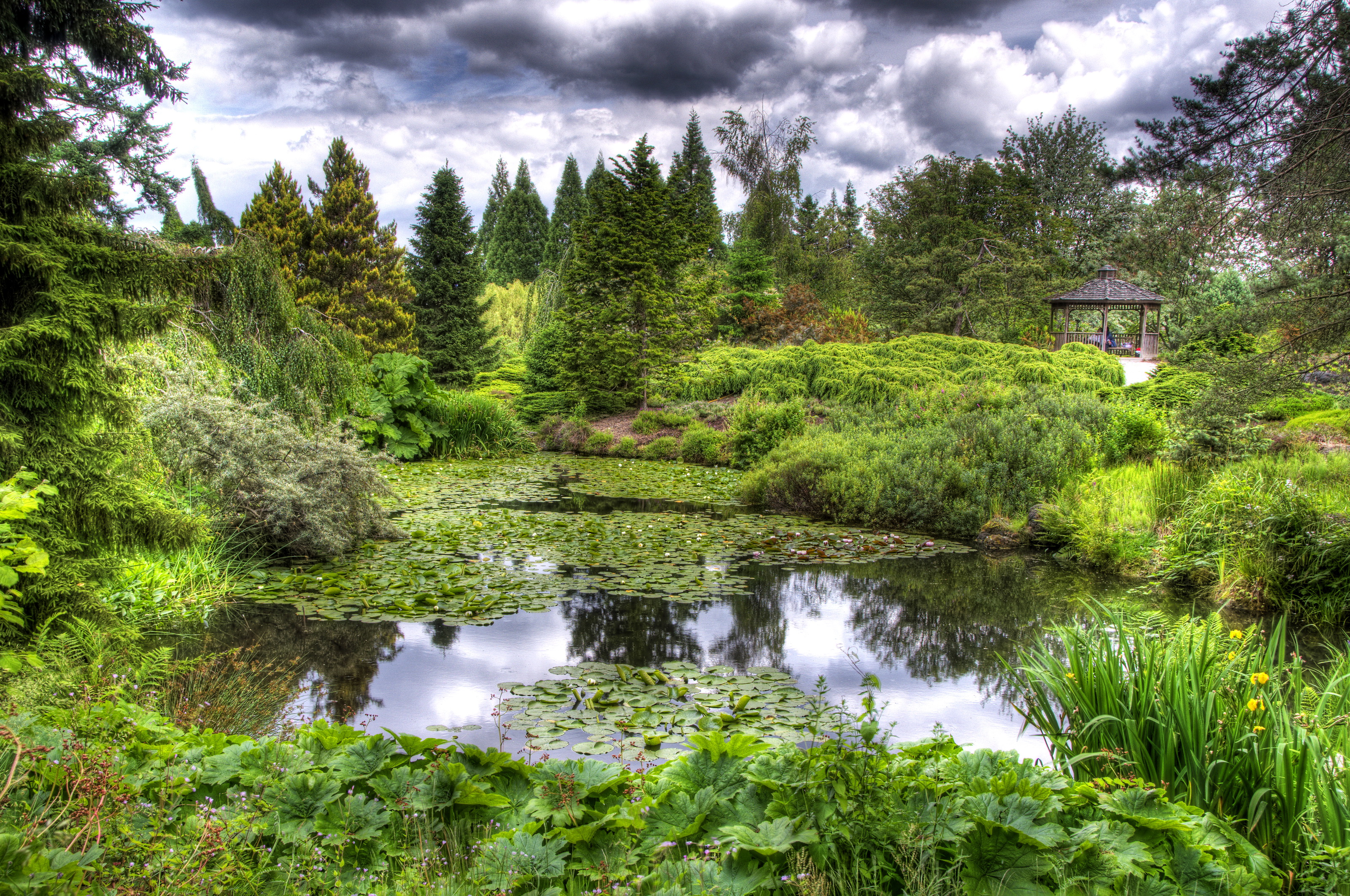 Саде телефон. Природа Флора и здания. Botanist Ванкувер. Швеция HD национальные парки фото.