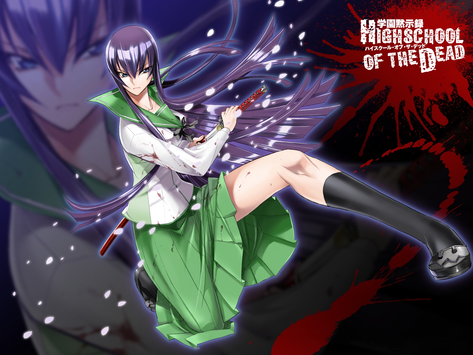 HD desktop wallpaper: Anime, Saeko Busujima, Highschool Of The Dead download  free picture #720750
