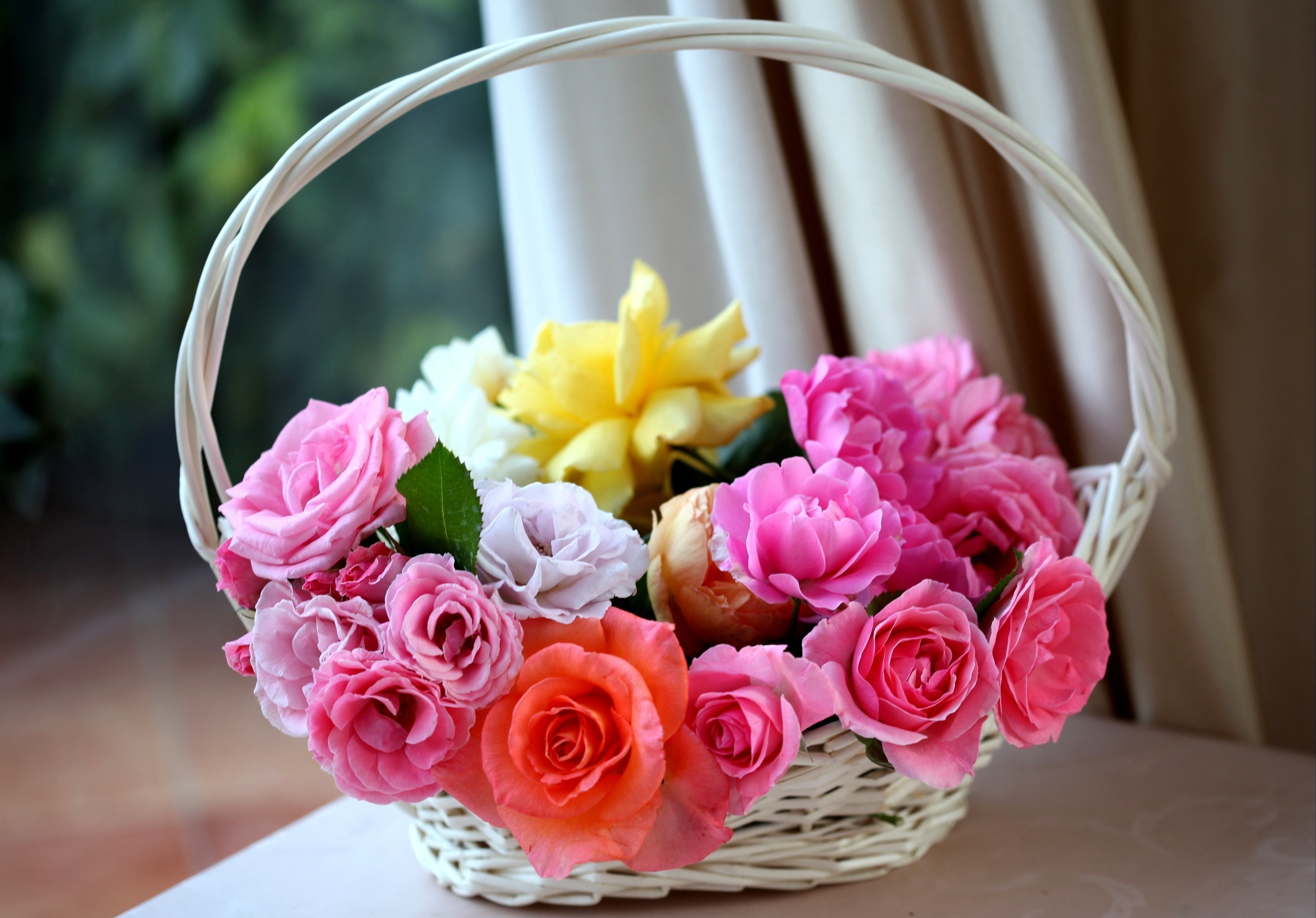 Basket lukoshko, charm, flowers, roses 8k Backgrounds