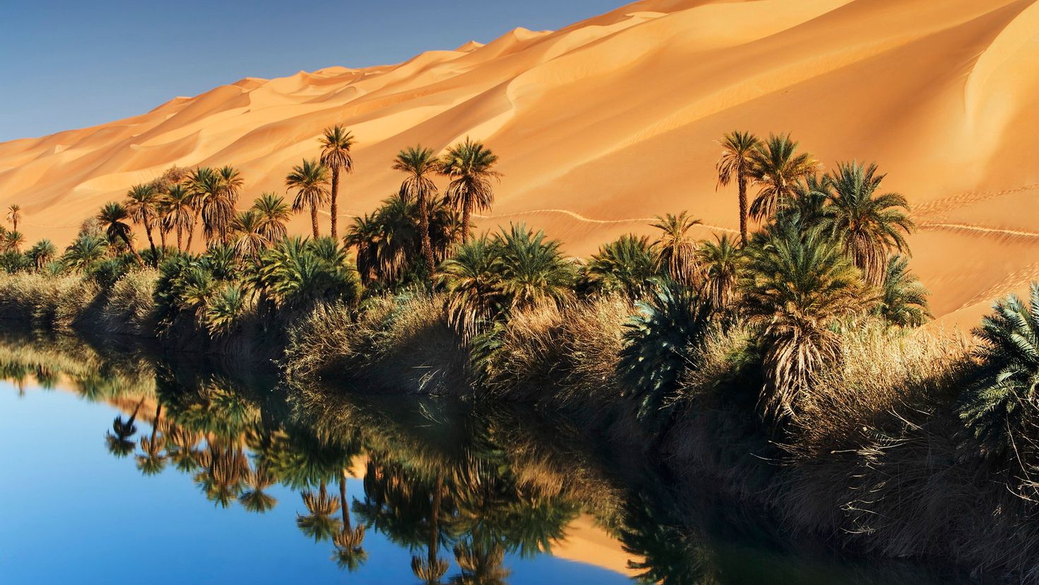 Какая природа египта. Оазис Убари Ливия. Оазис Убари в Египте. Сахара Марокко Оазис. Оазис в Аравийской пустыне.