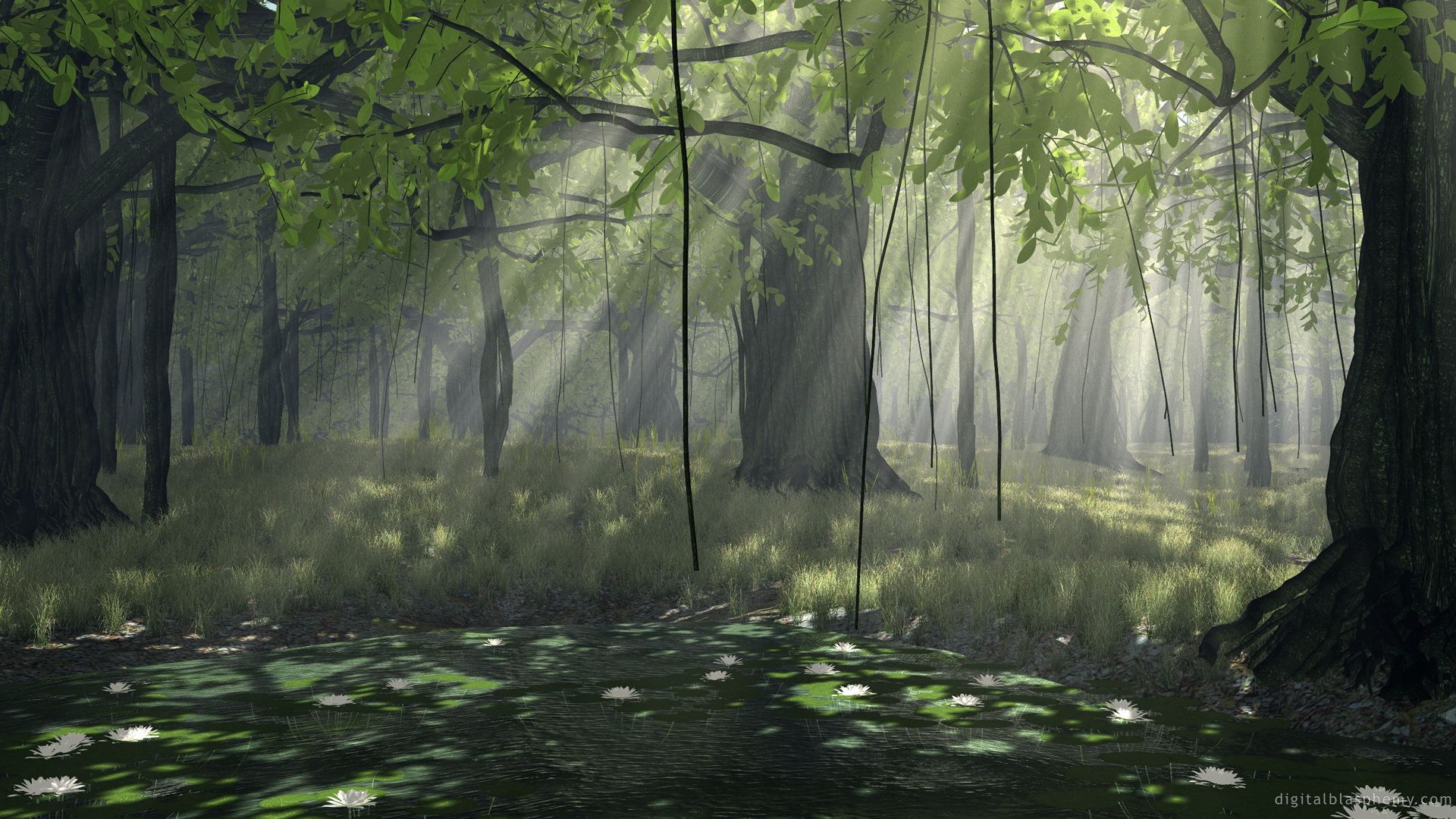 vines, sun, forest, creepers 3d Wallpaper