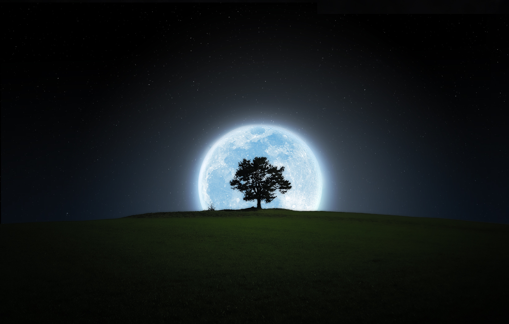 silhouette, earth, night, moon, tree