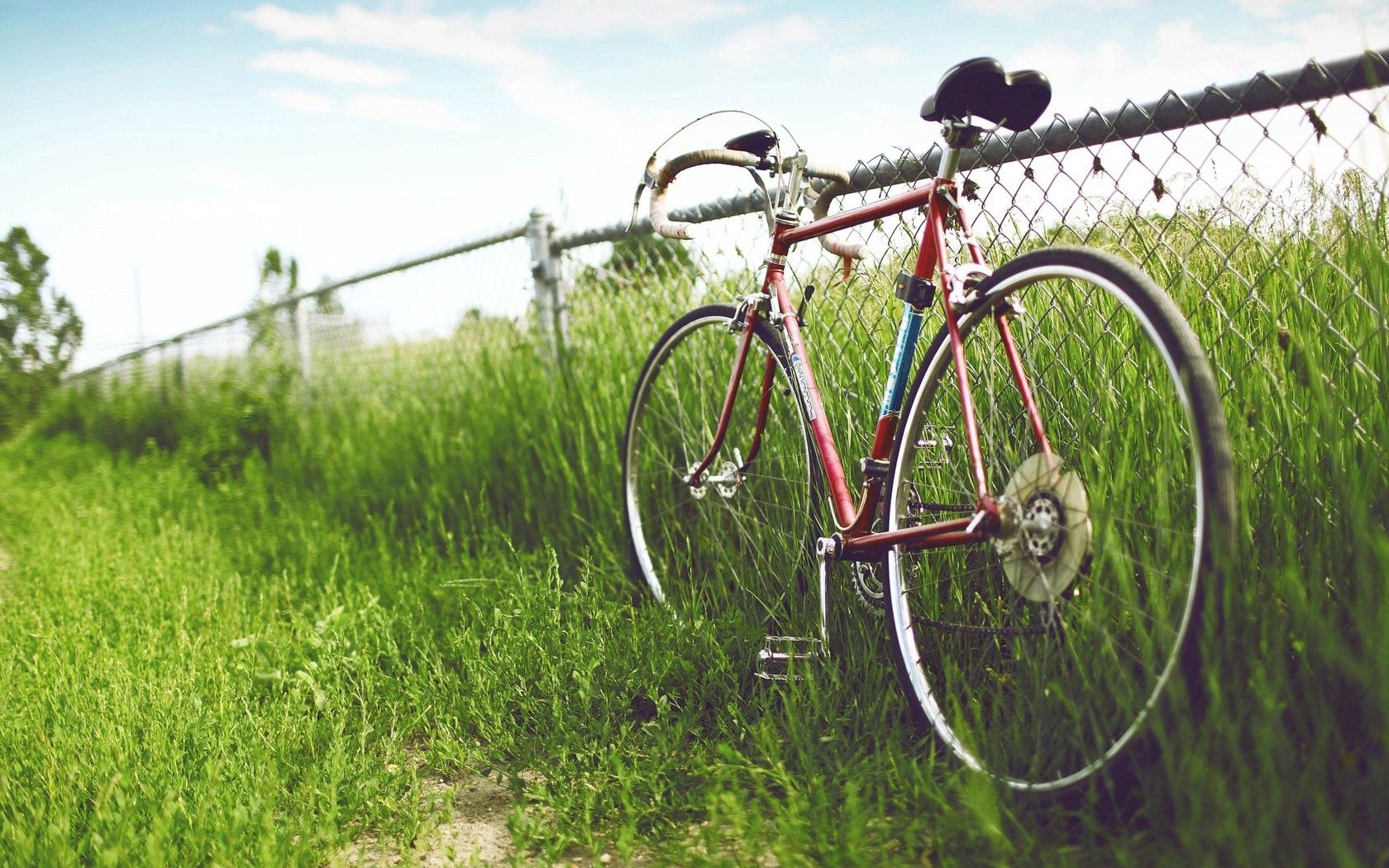 57744 Hintergrundbild herunterladen natur, grass, sommer, feld, zaun, fahrrad, hecke - Bildschirmschoner und Bilder kostenlos