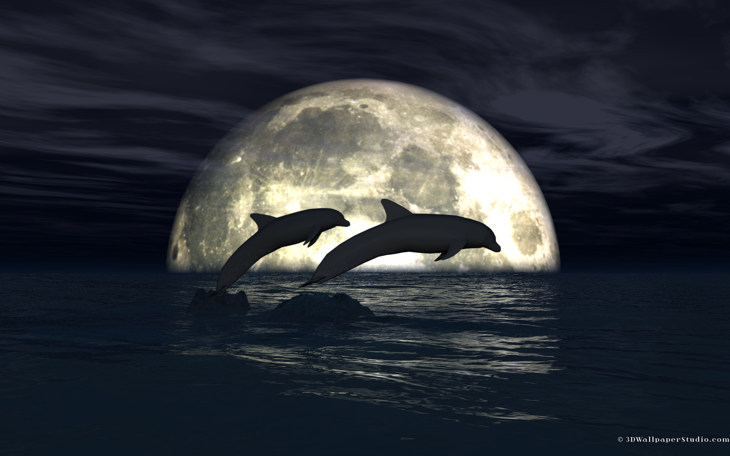 Дельфины на фоне Луны