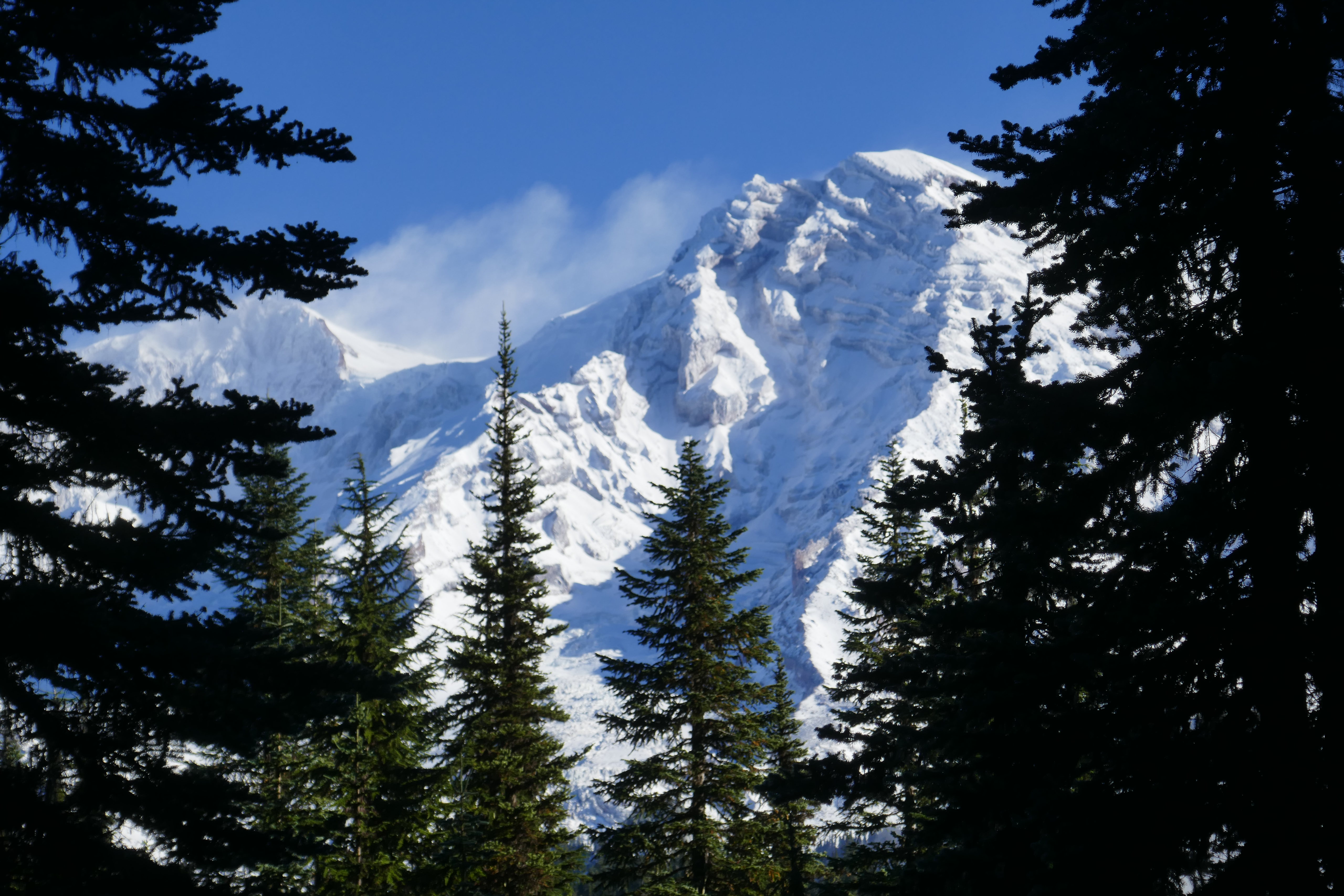 66308 скачать обои заснеженный, природа, горы, деревья, снег, ветки, ель - заставки и картинки бесплатно
