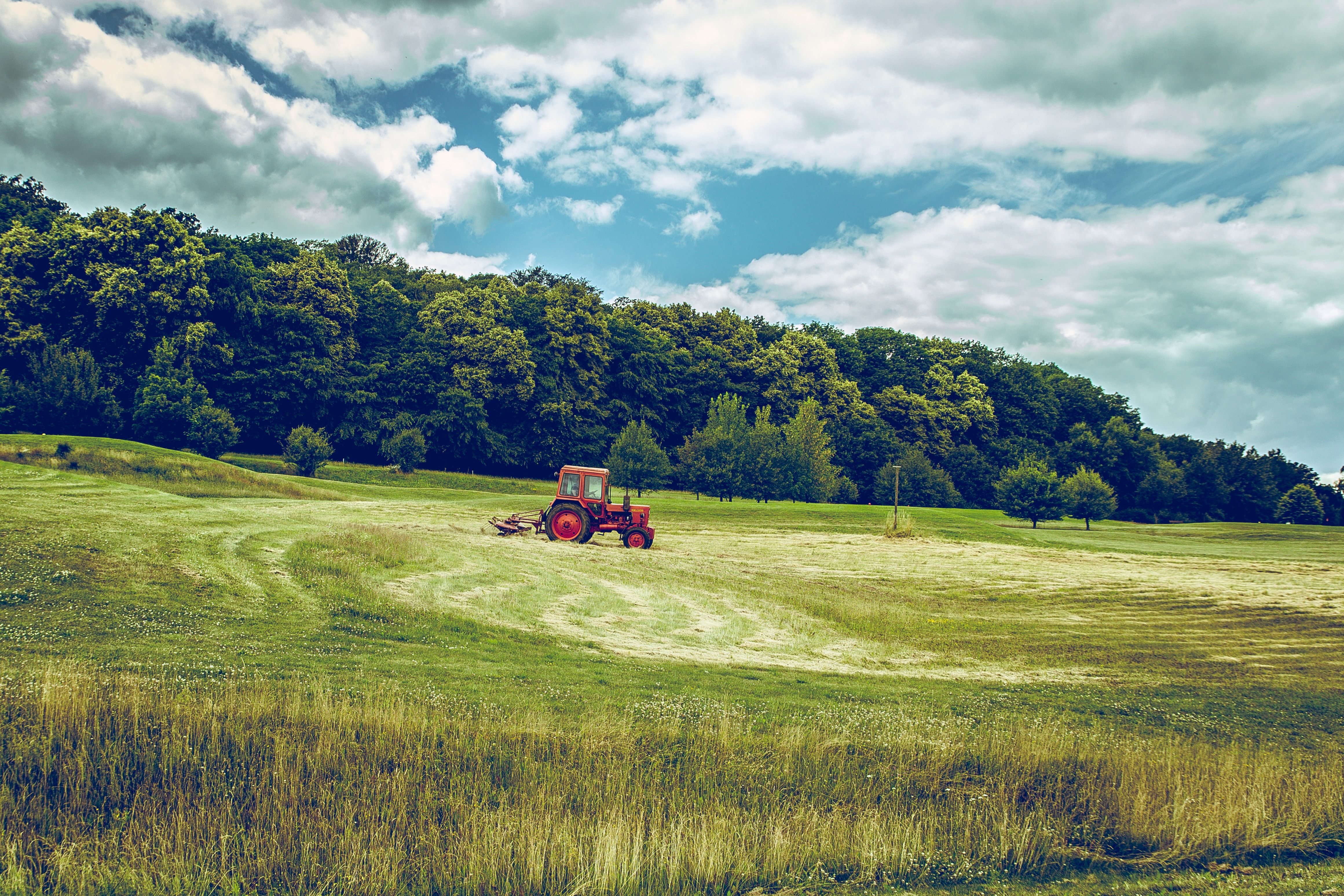 71972 Bild herunterladen natur, grass, feld, traktor, landwirtschaft - Hintergrundbilder und Bildschirmschoner kostenlos