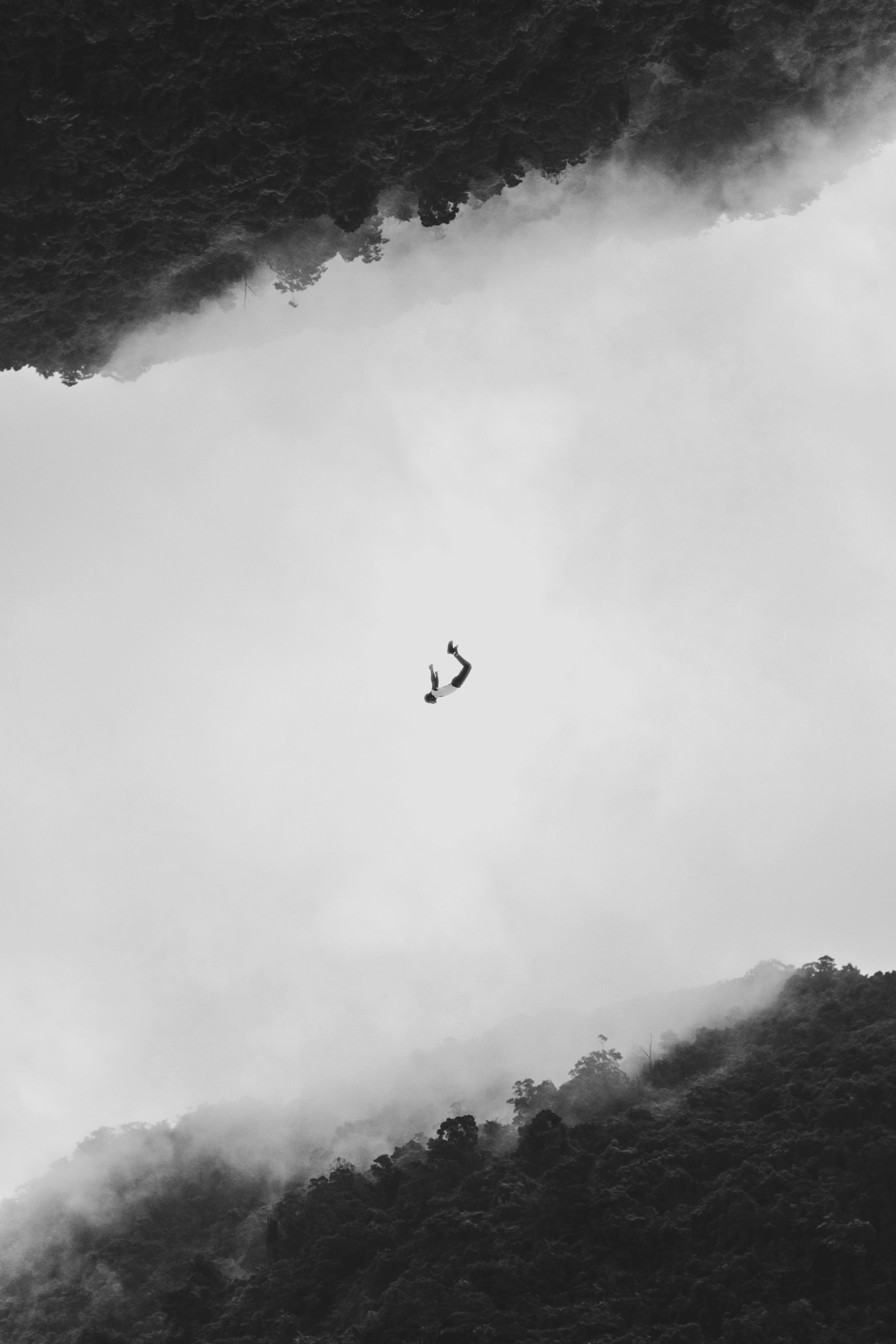 jump, forest, flight, minimalism Full HD