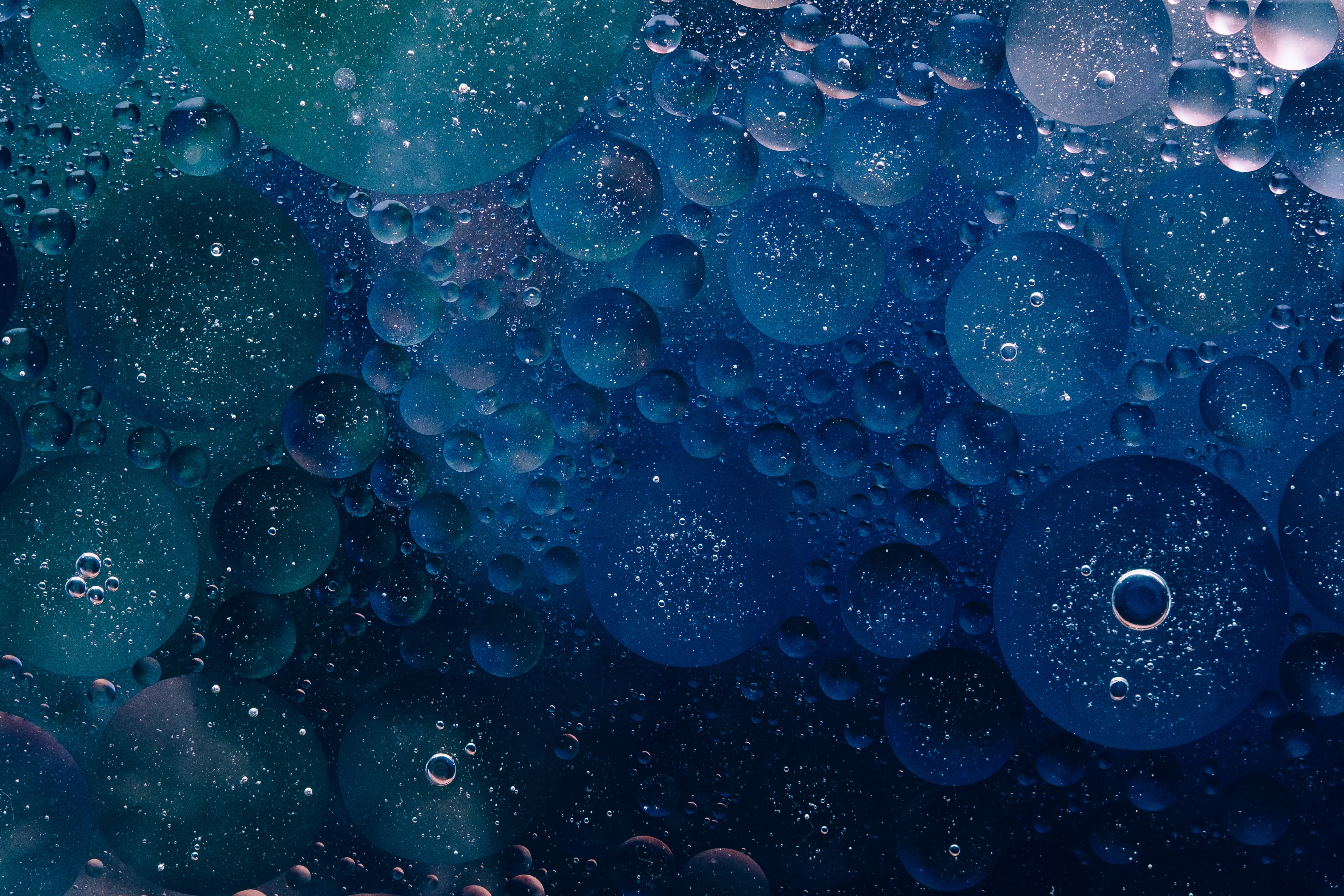 bubbles, blue, macro, circles, texture for android
