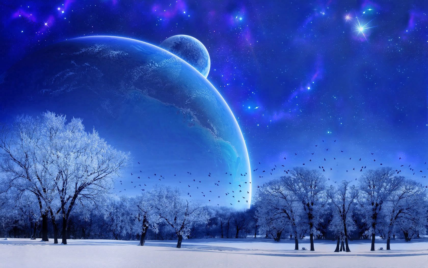 sky, landscape, abstract, nature, full moon, snow, winter, birds, trees, evening HD wallpaper